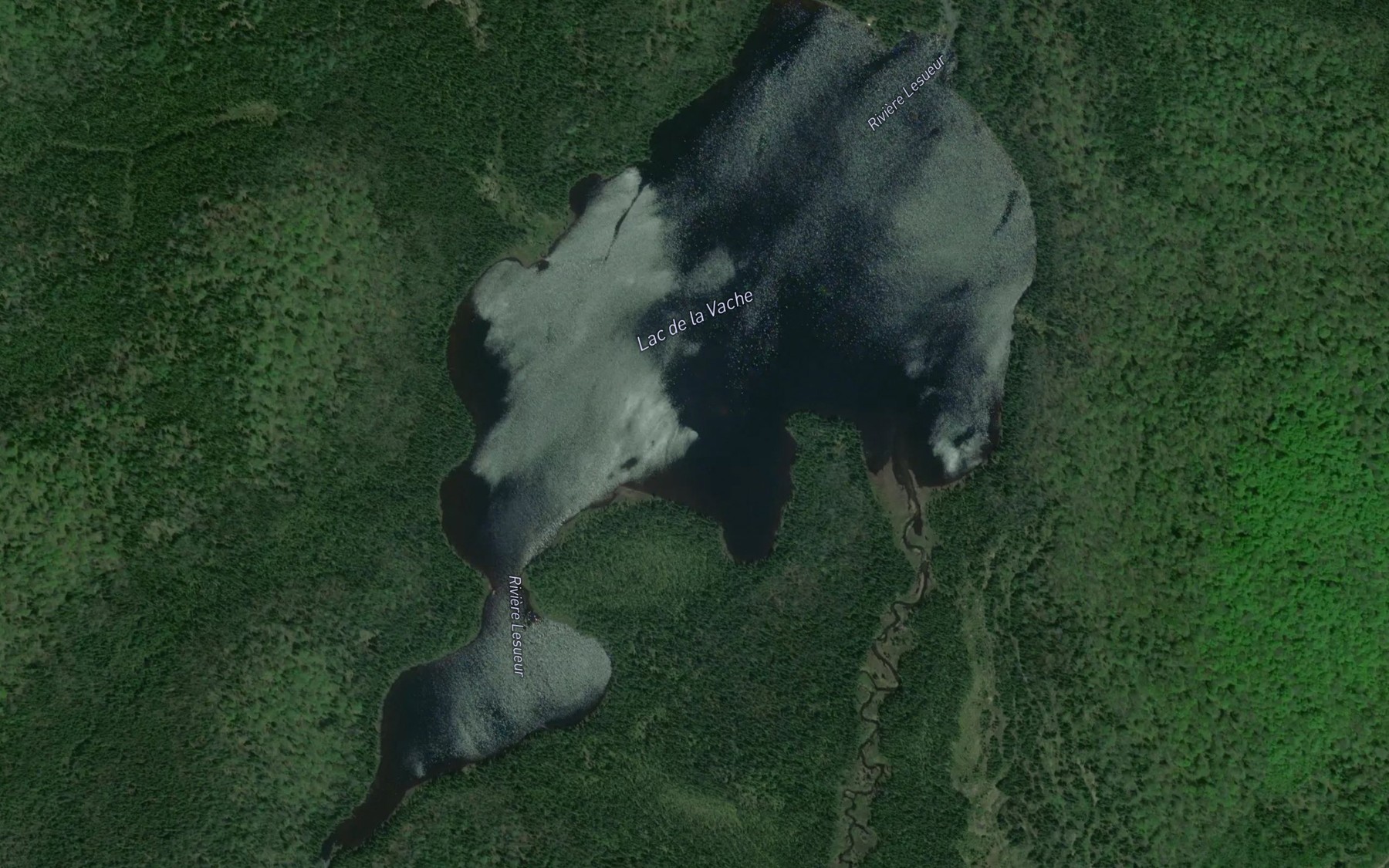 Satellite map of the Lac de la Vache