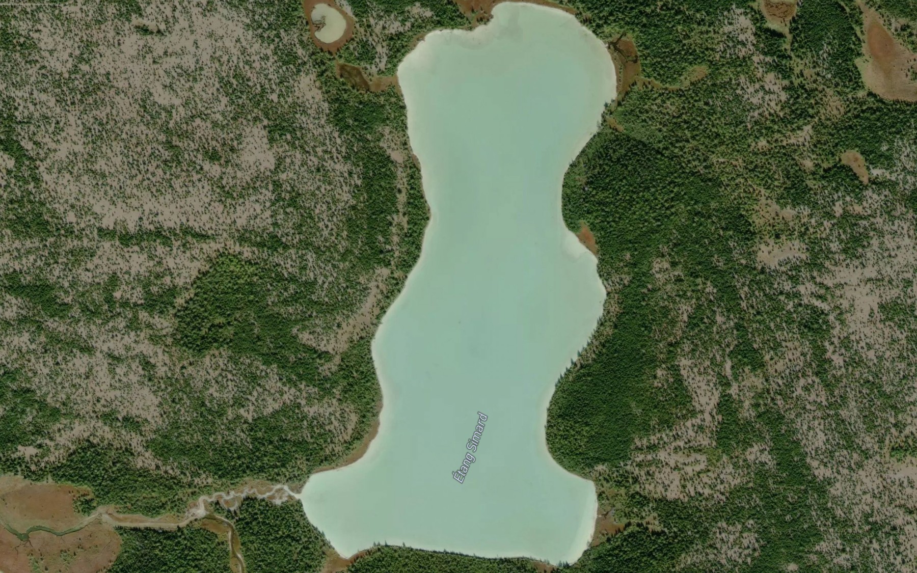 Satellite map of the Etang Simard