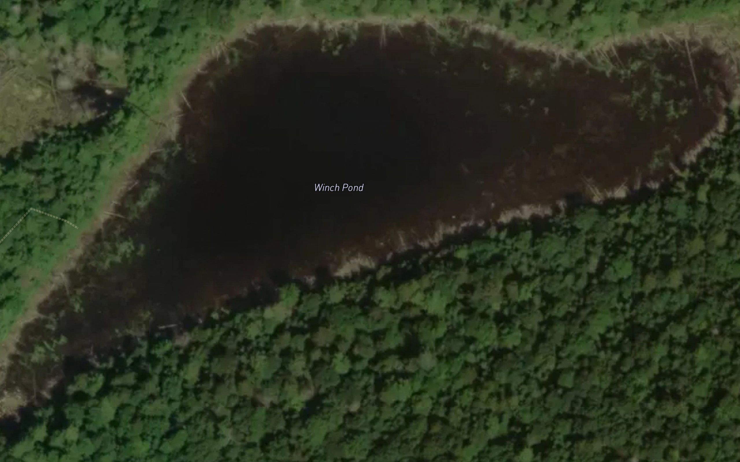 Winch Pond