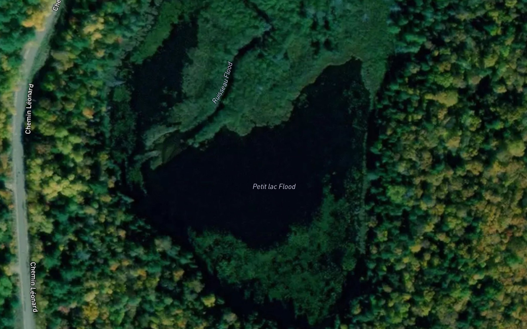 Satellite map of the Petit lac Flood