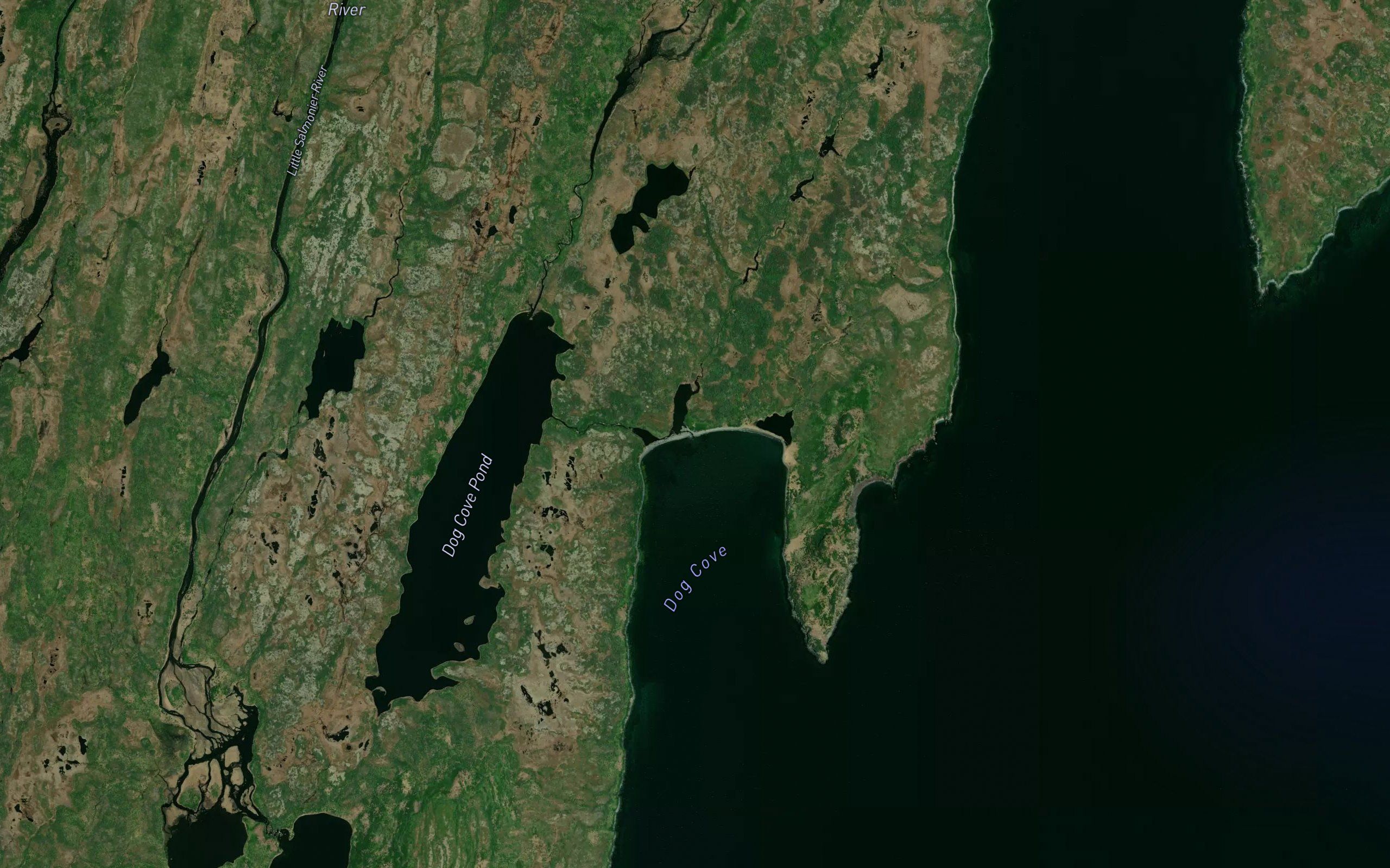 Cape Dog River