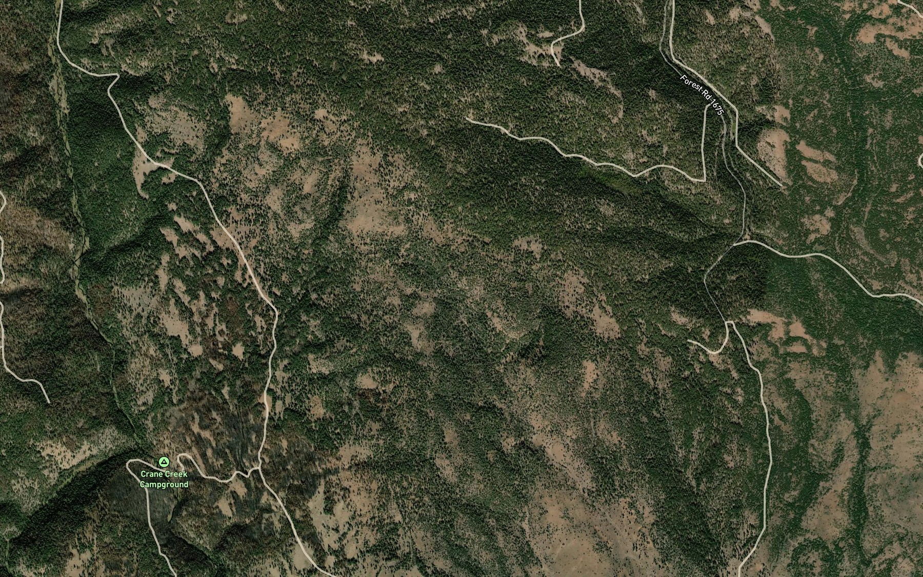 Satellite map of the McKenzie Spring