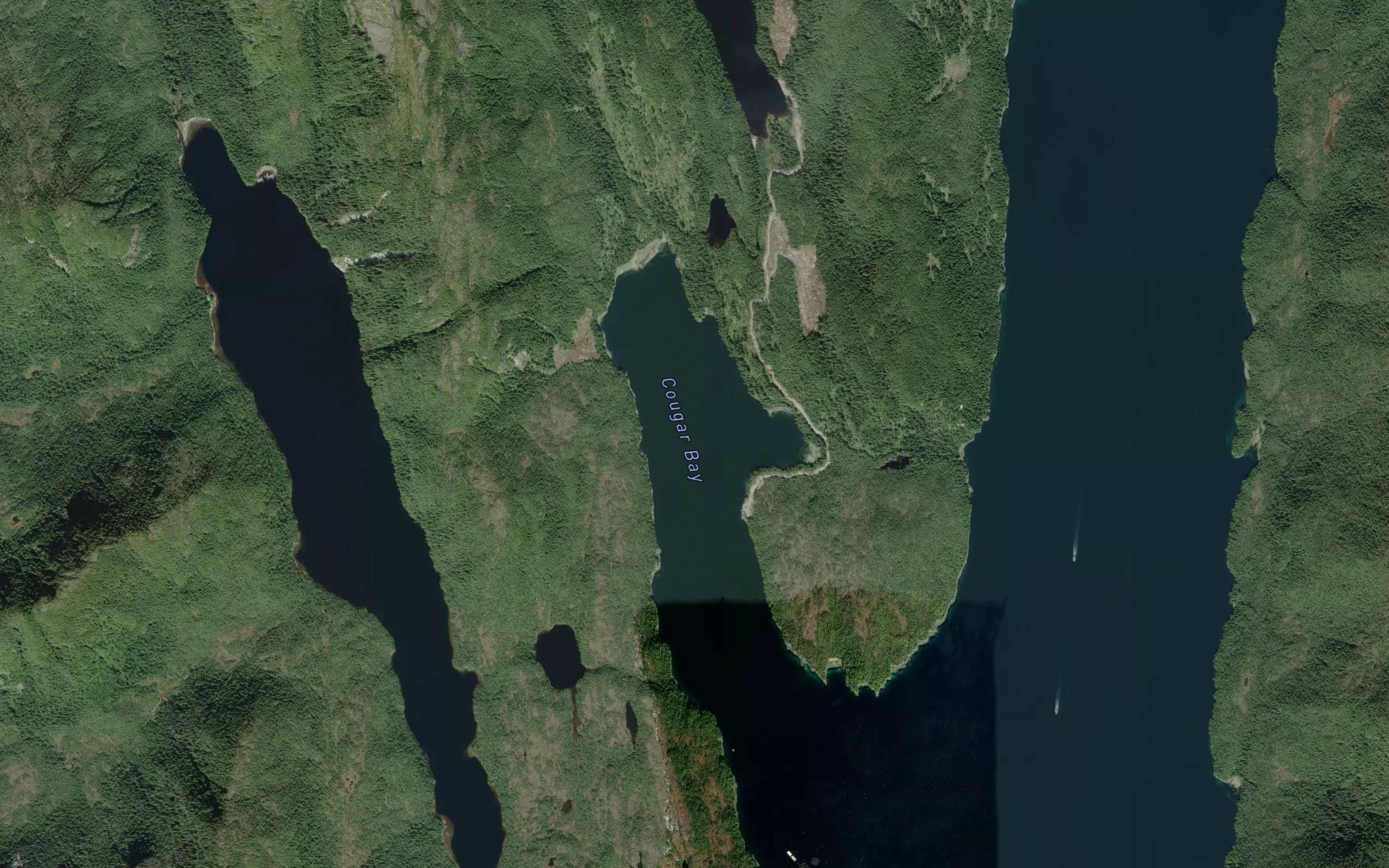 Cougar Bay