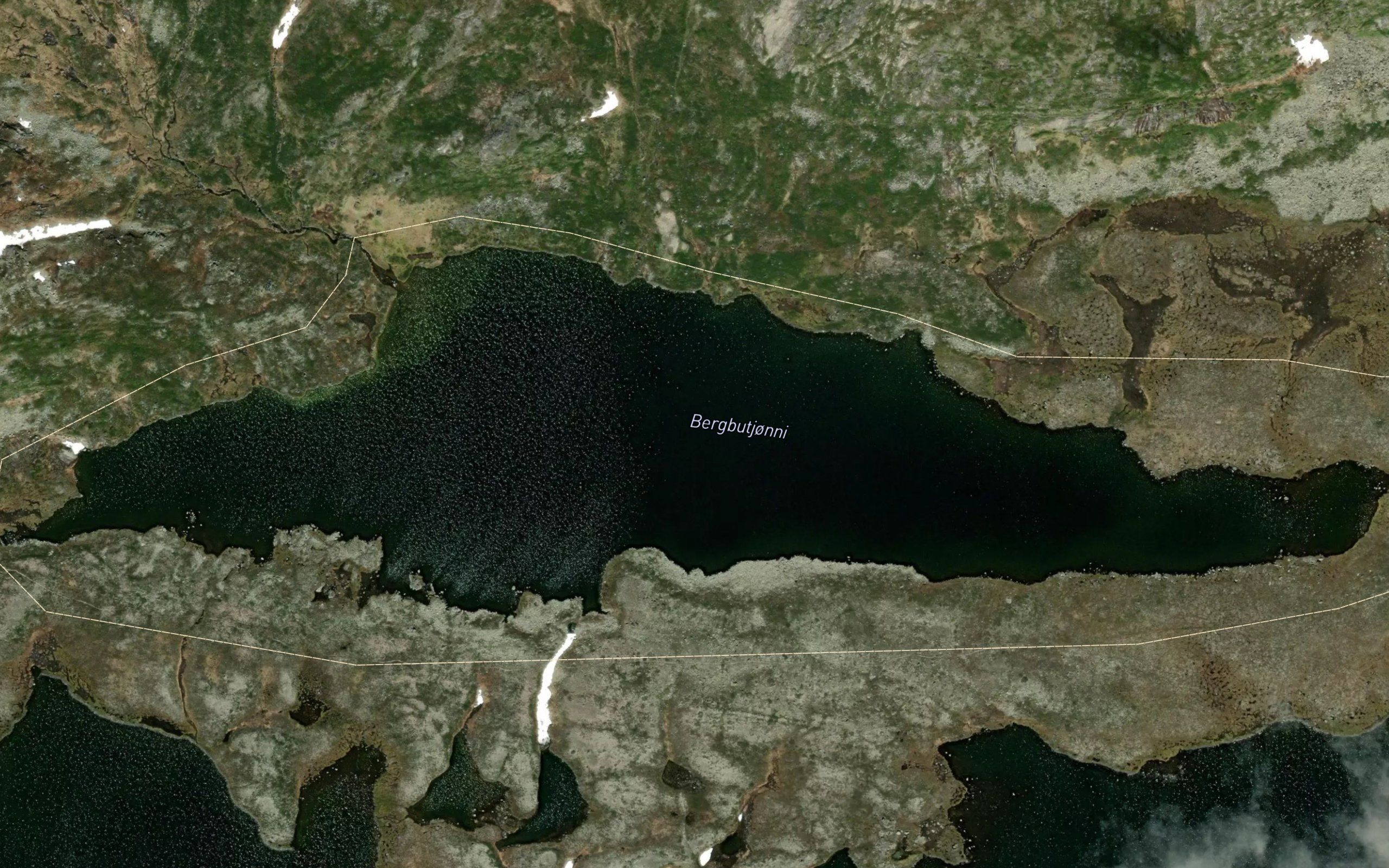 Bergbutjonni