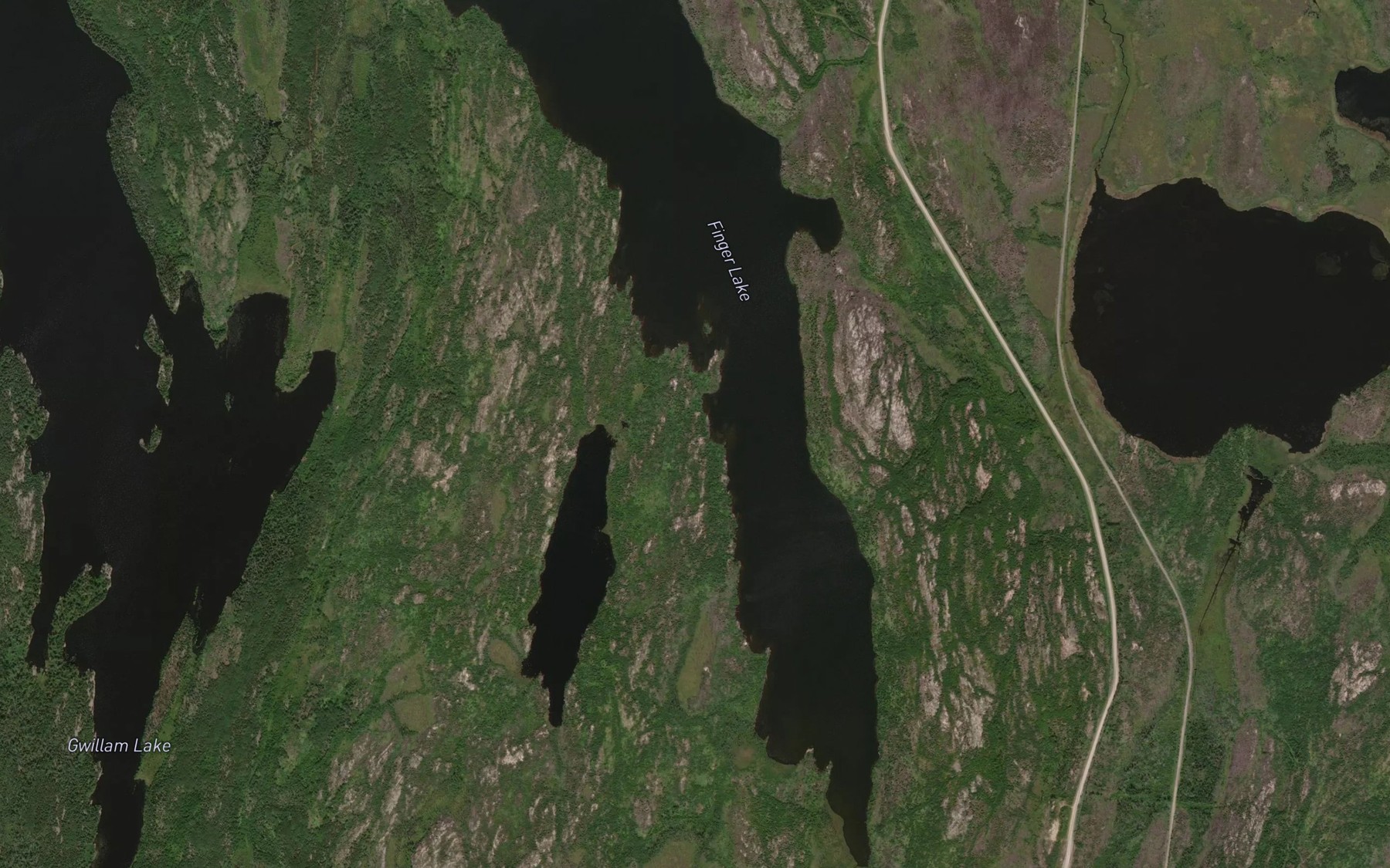 Satellite map of the Finger Lake
