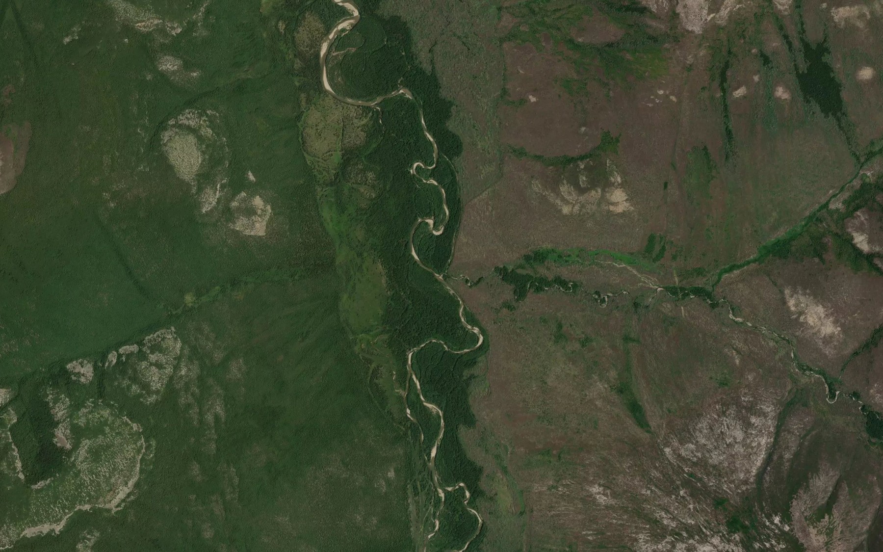 Satellite map of the Gayundo