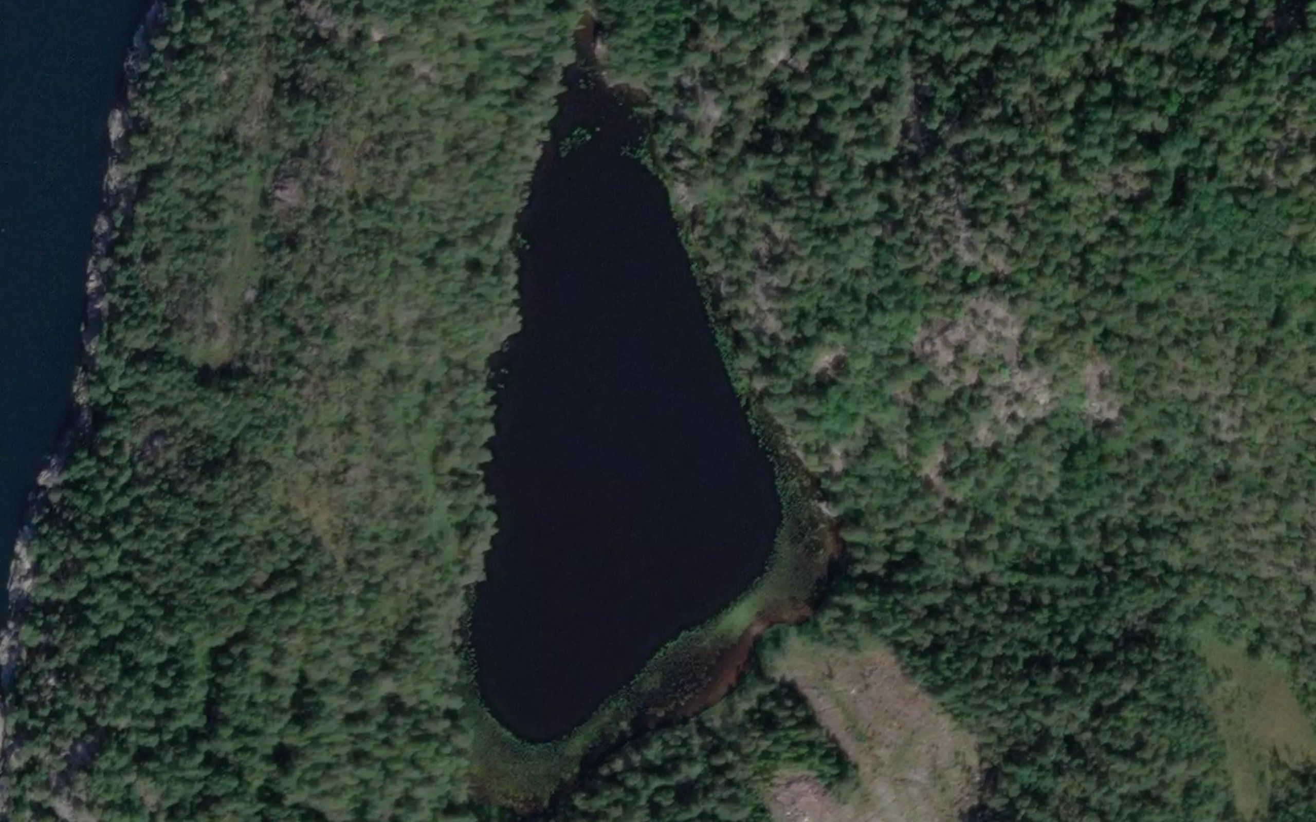 Rullesviktjorna