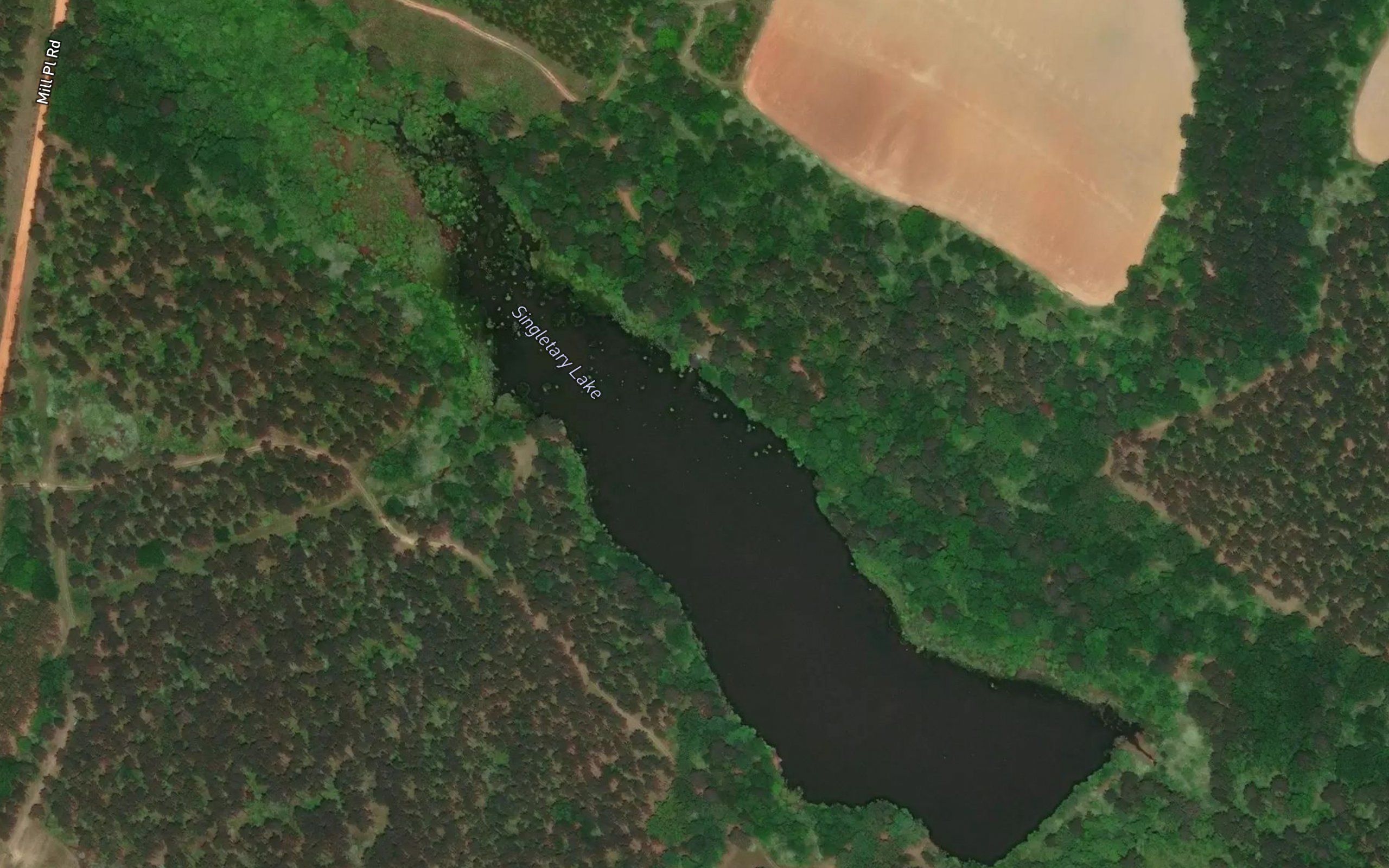 Singletary Lake
