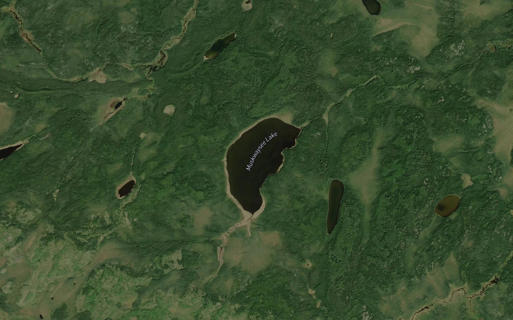 Satellite map of the Muskwaysee Lake