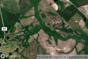 Little Alligator Creek
