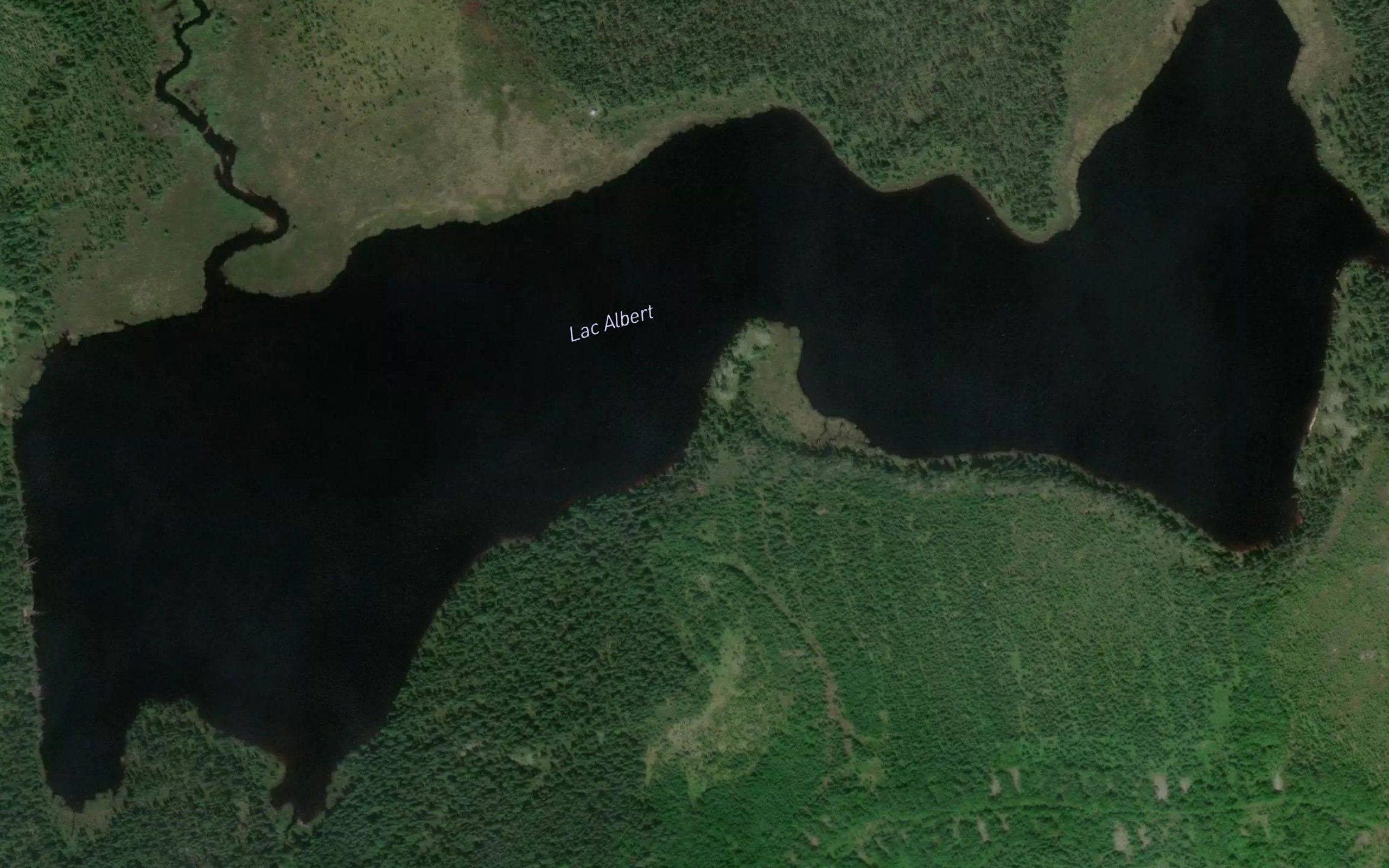 Lac Albert