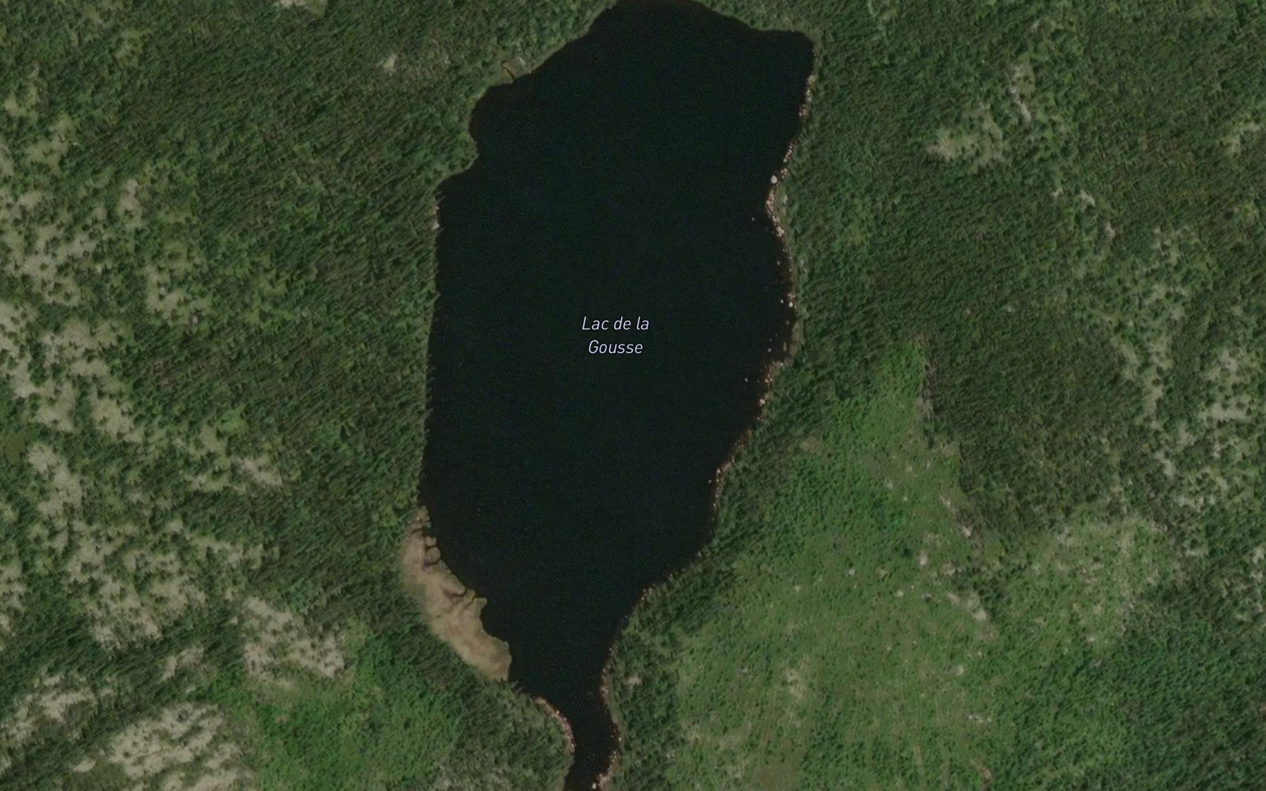 Satellite map of the Lac de la Gousse