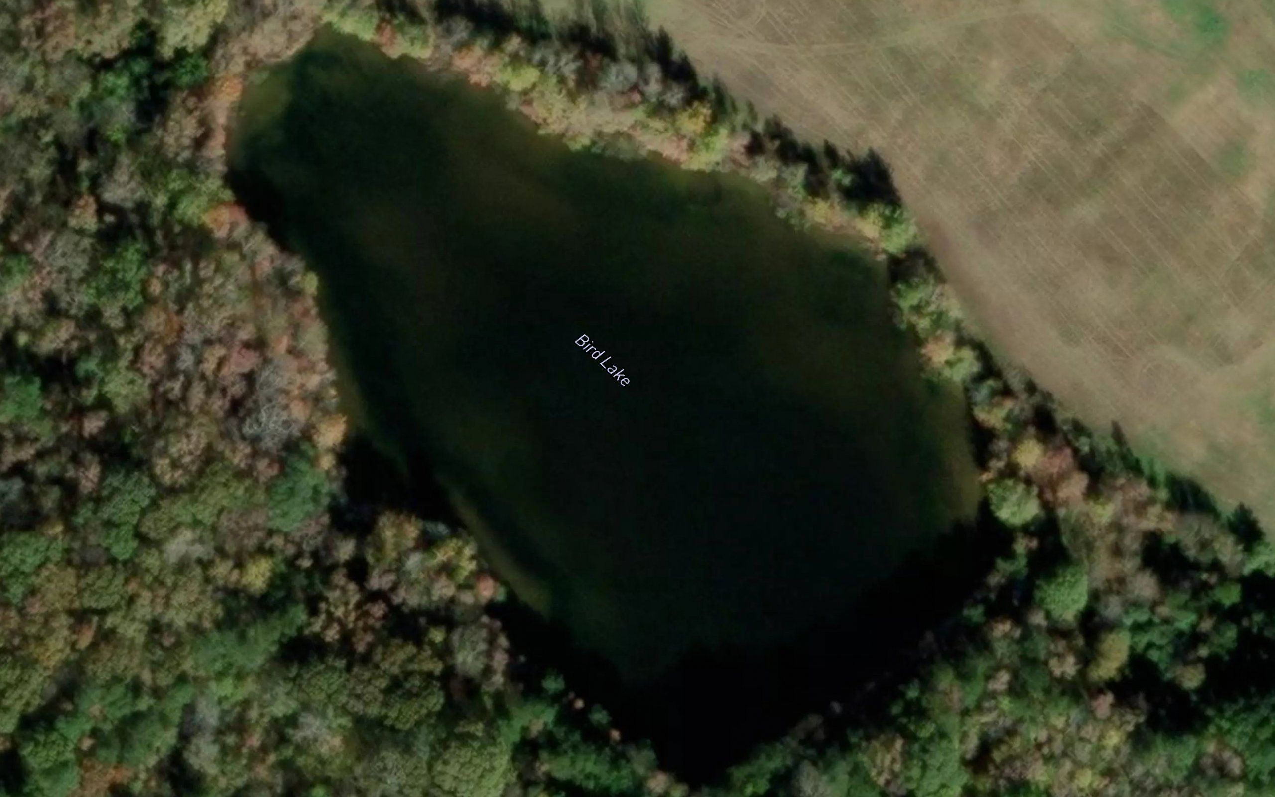 Bird Lake