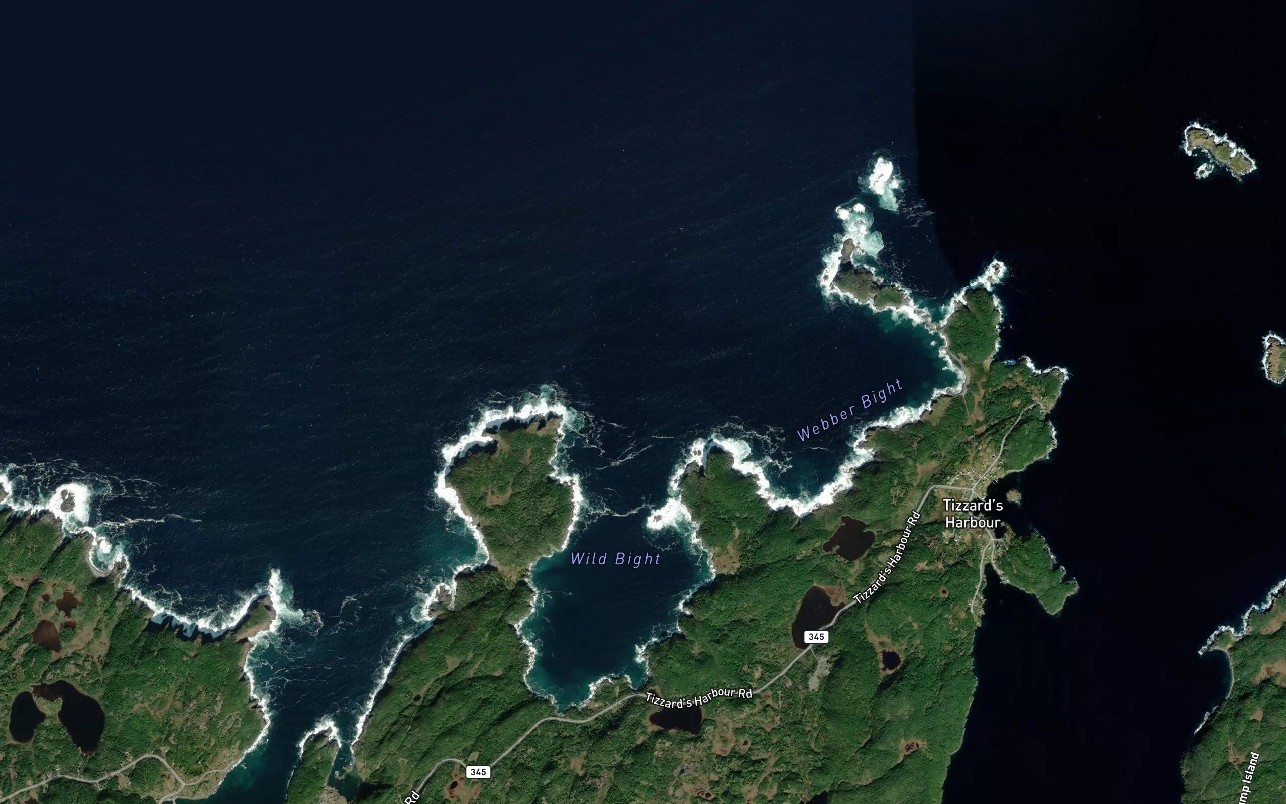 Wild Bight