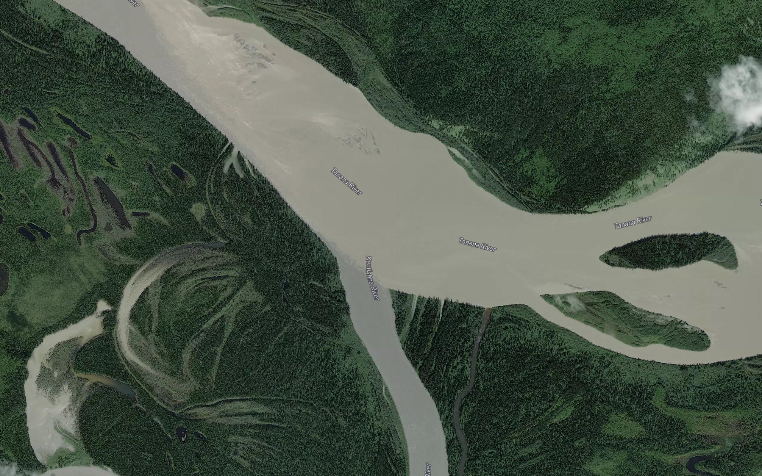 Kantishna River