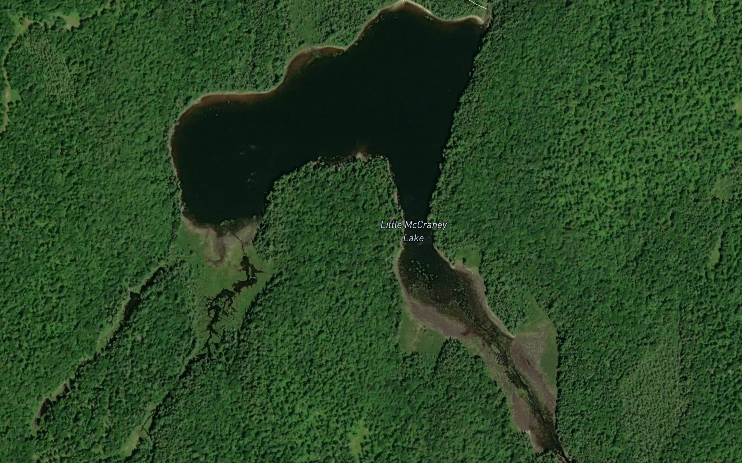 Little McCraney Lake
