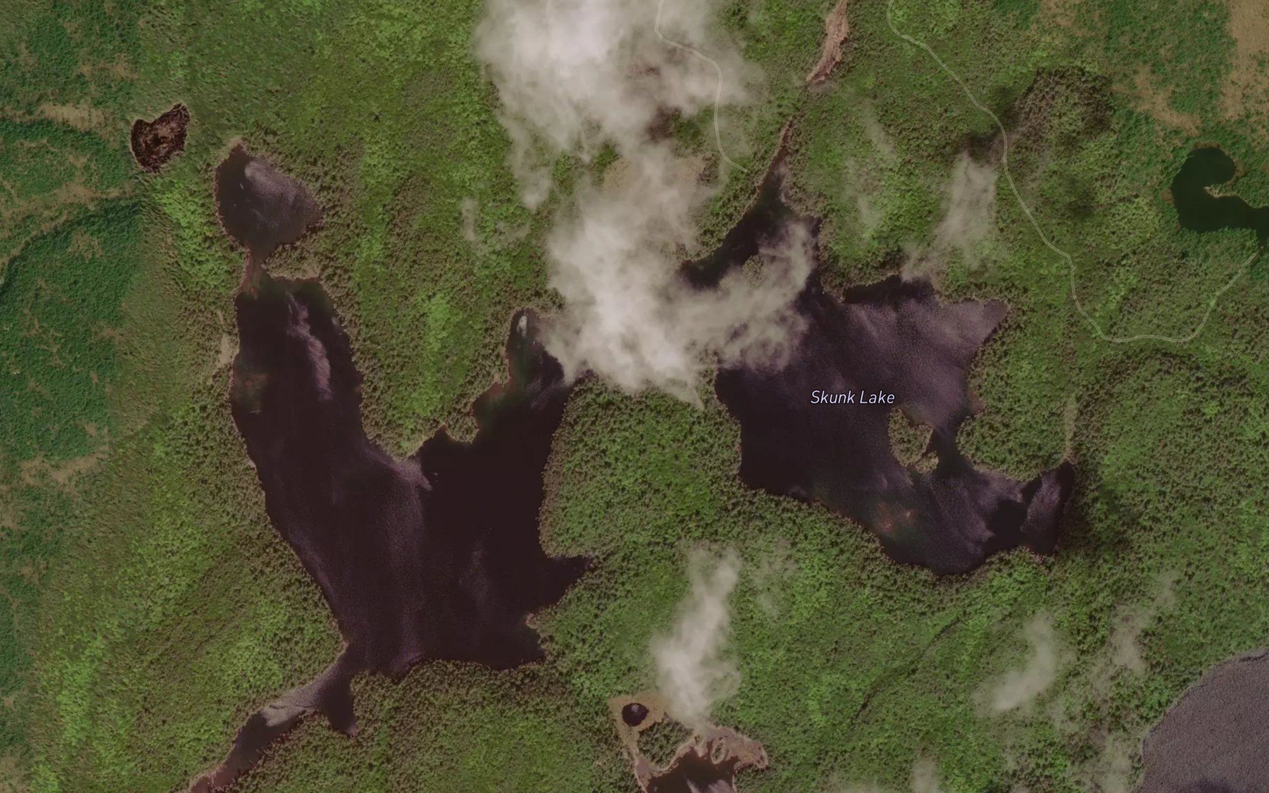 Skunk Lake