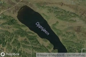 Oppsjoen