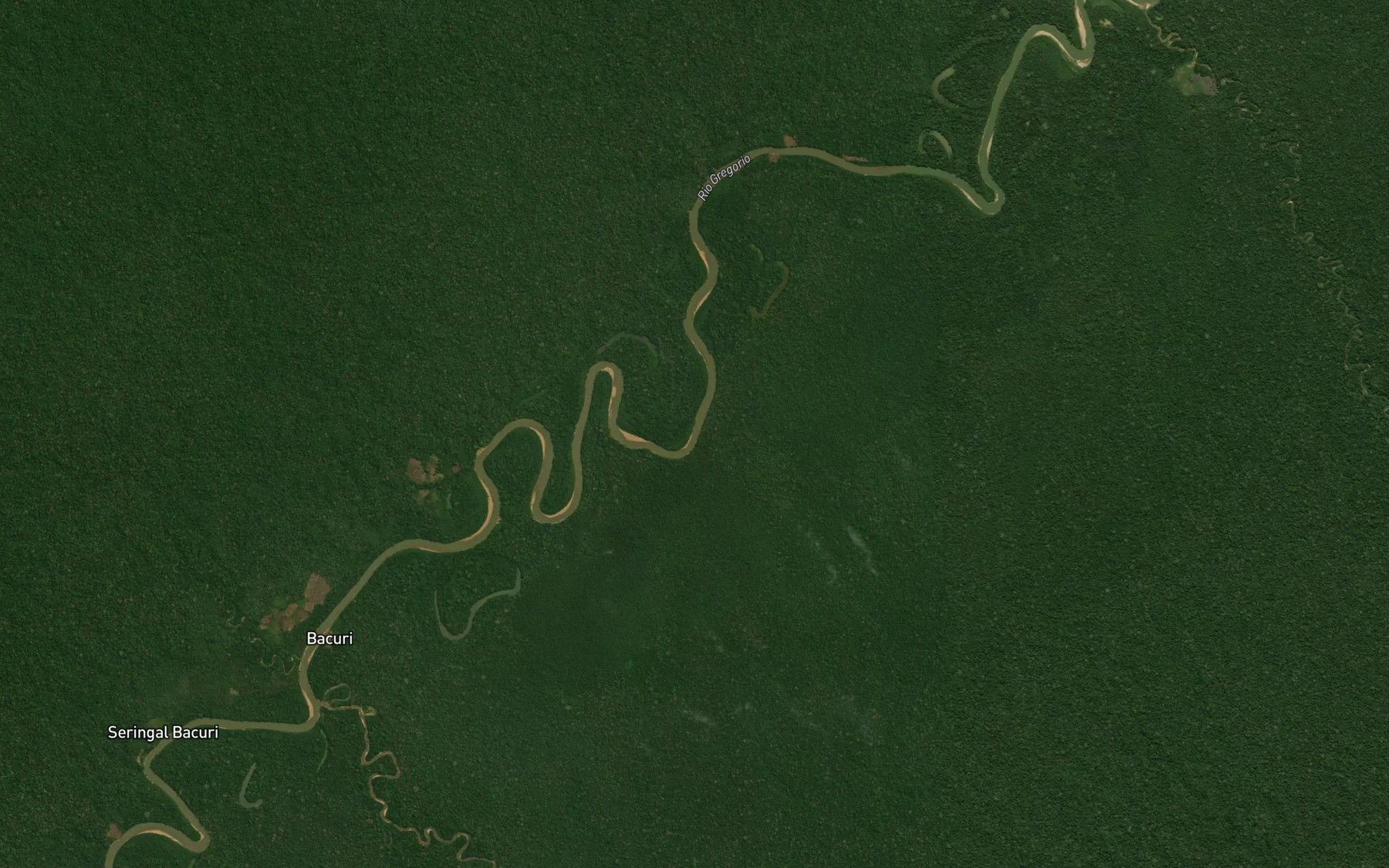Satellite map of the Igarape Avenida