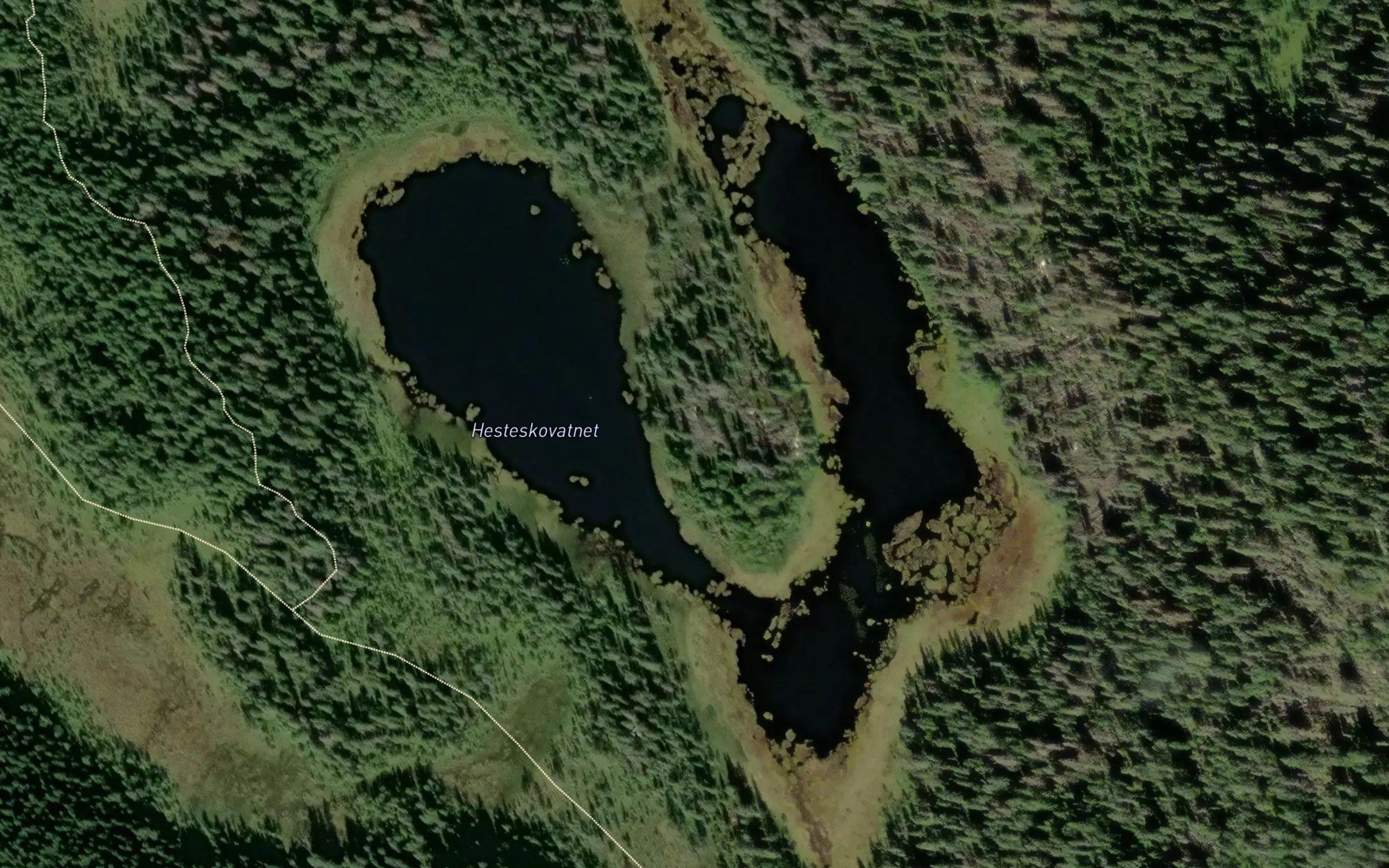 Hesteskovatnet