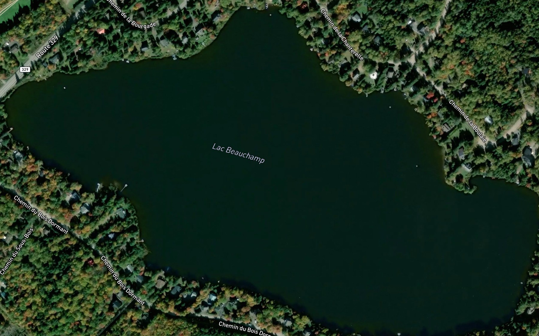 Satellite map of the Lac Beauchamp