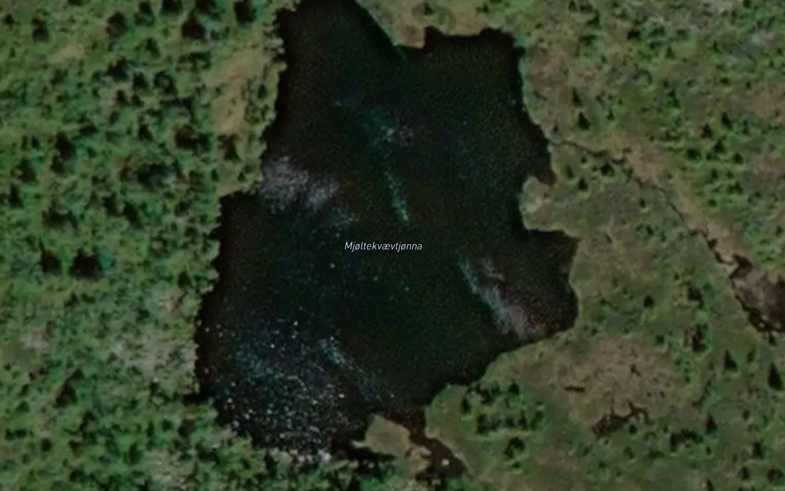 Mjoltekvaevtjonna