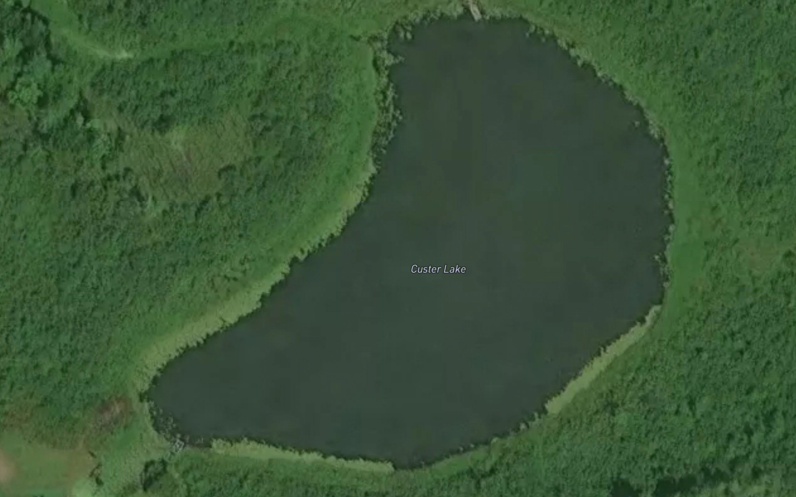 Custer Lake