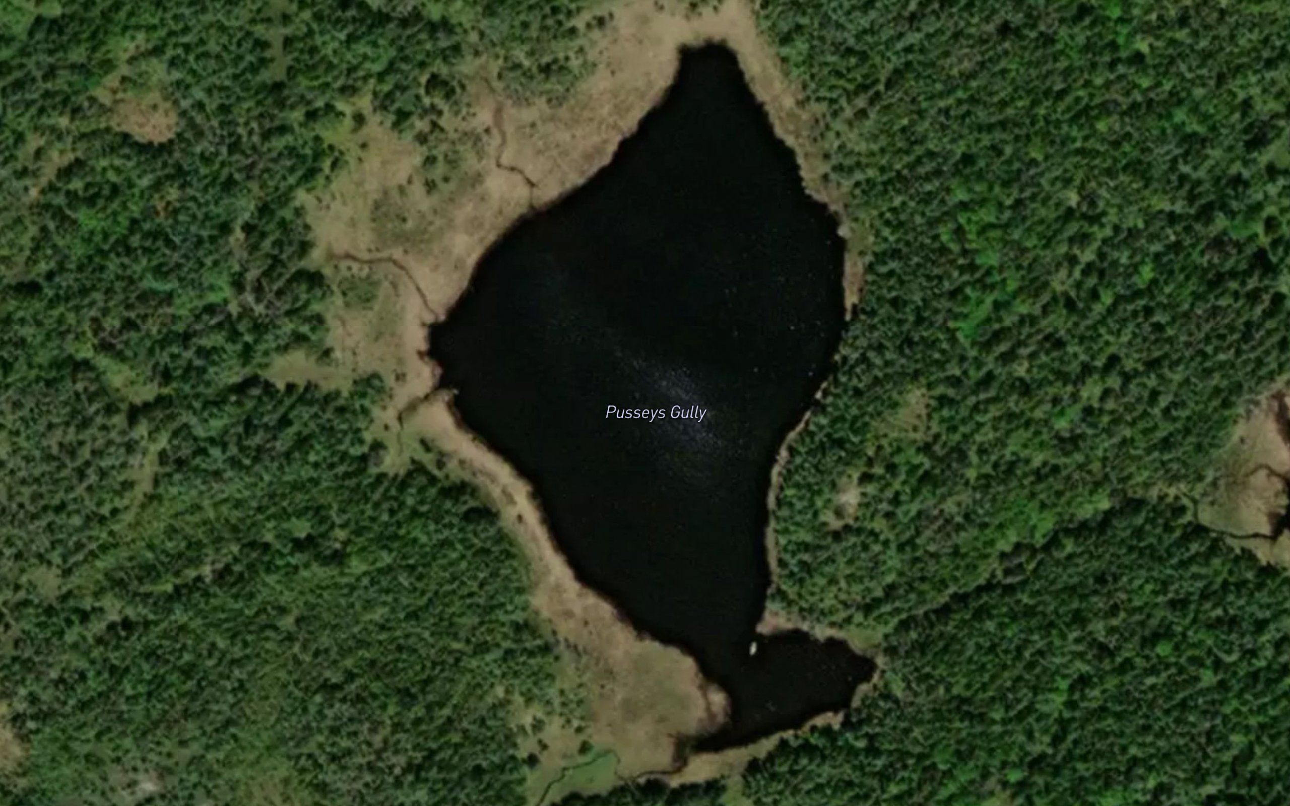 Jack Reids Pond