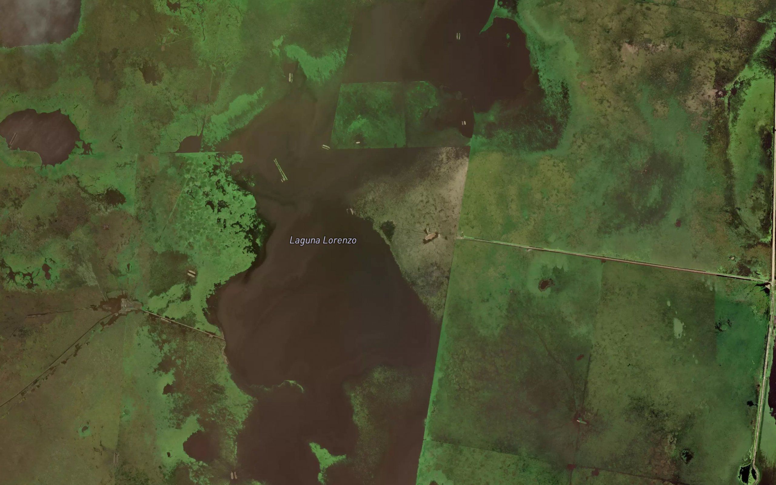 Laguna del Yacare
