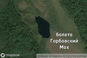 Ozero Gorbovskoye