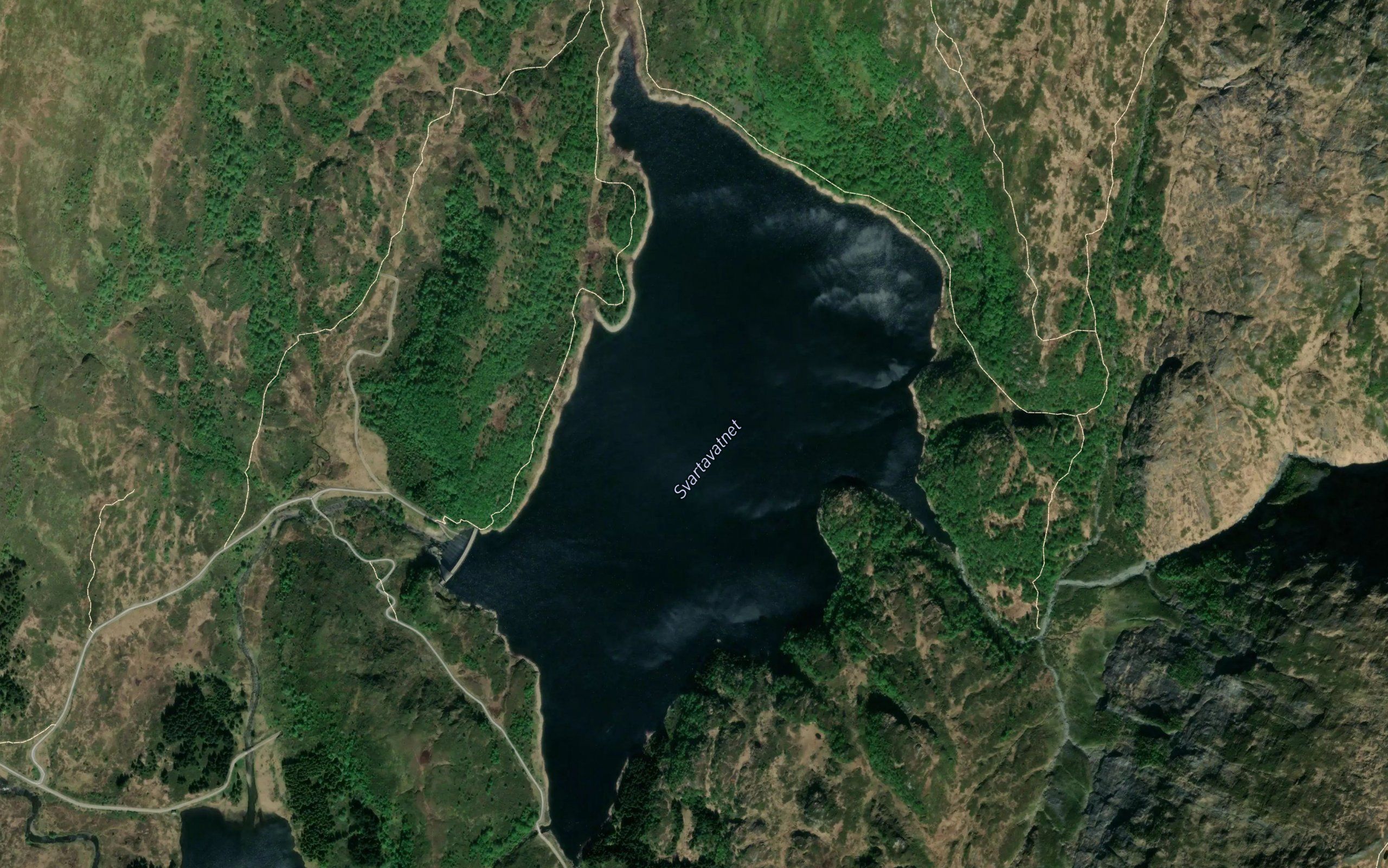 Svartavatnet