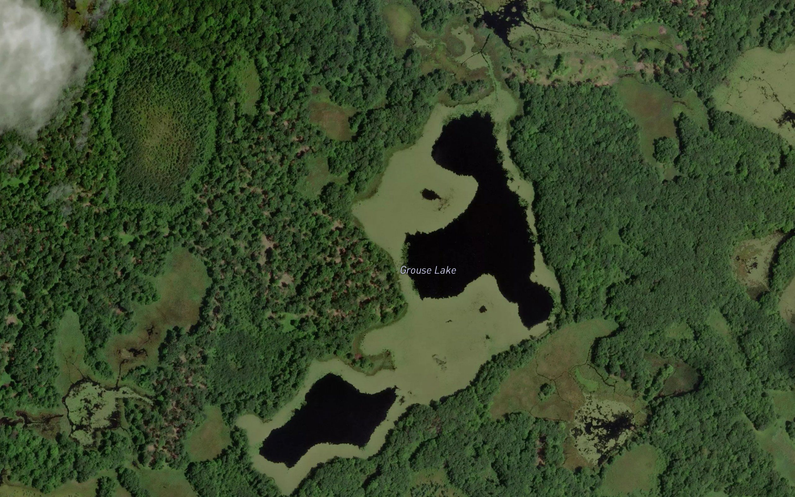 Grouse Lake