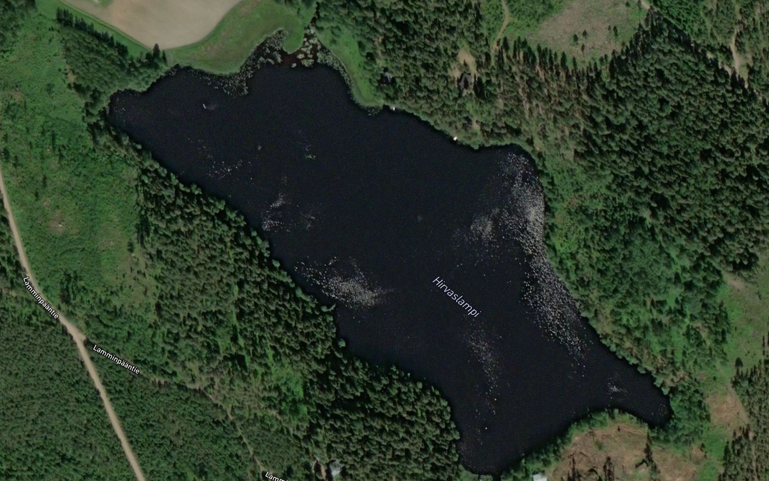 Hirvaslampi