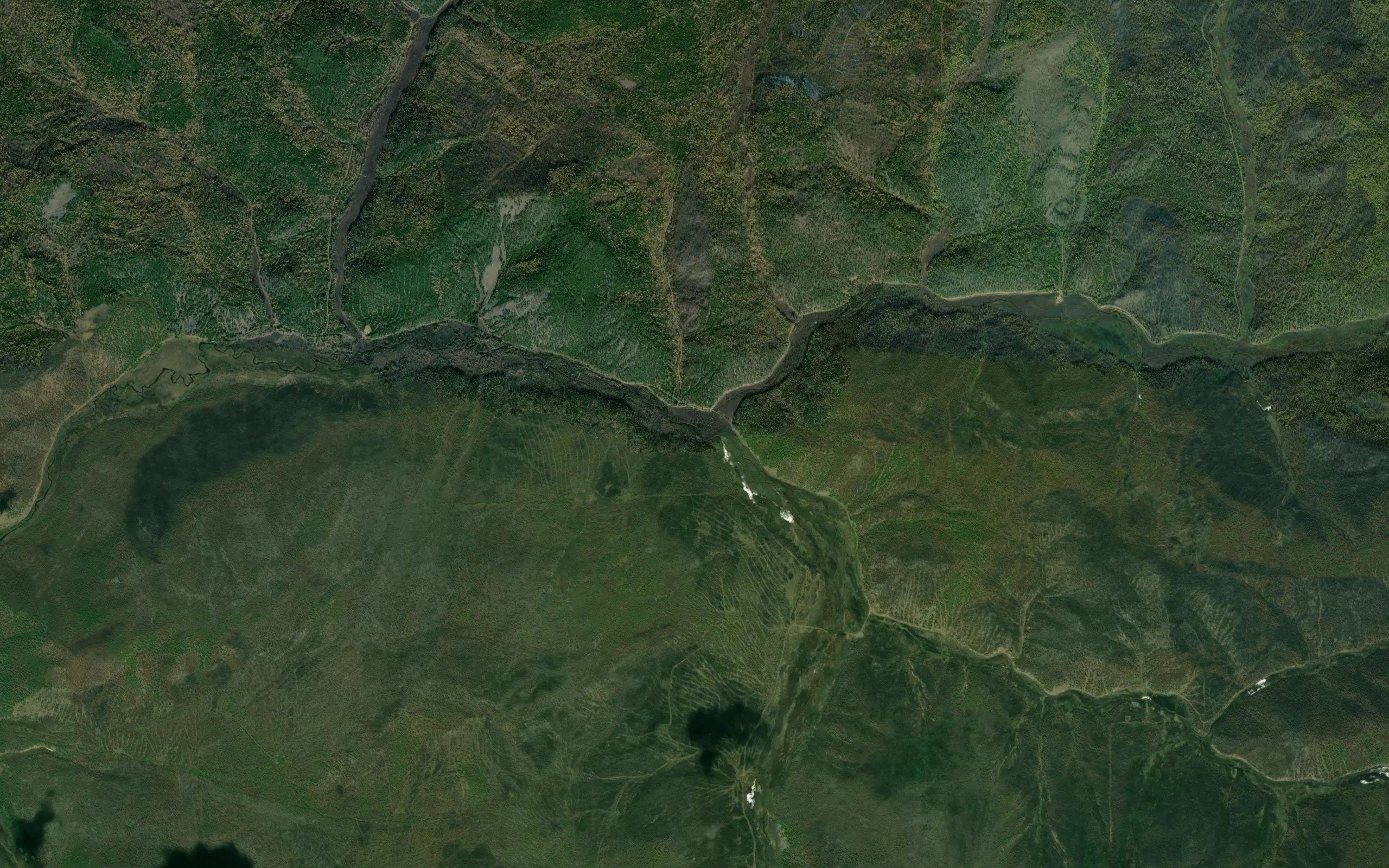 Bargutka