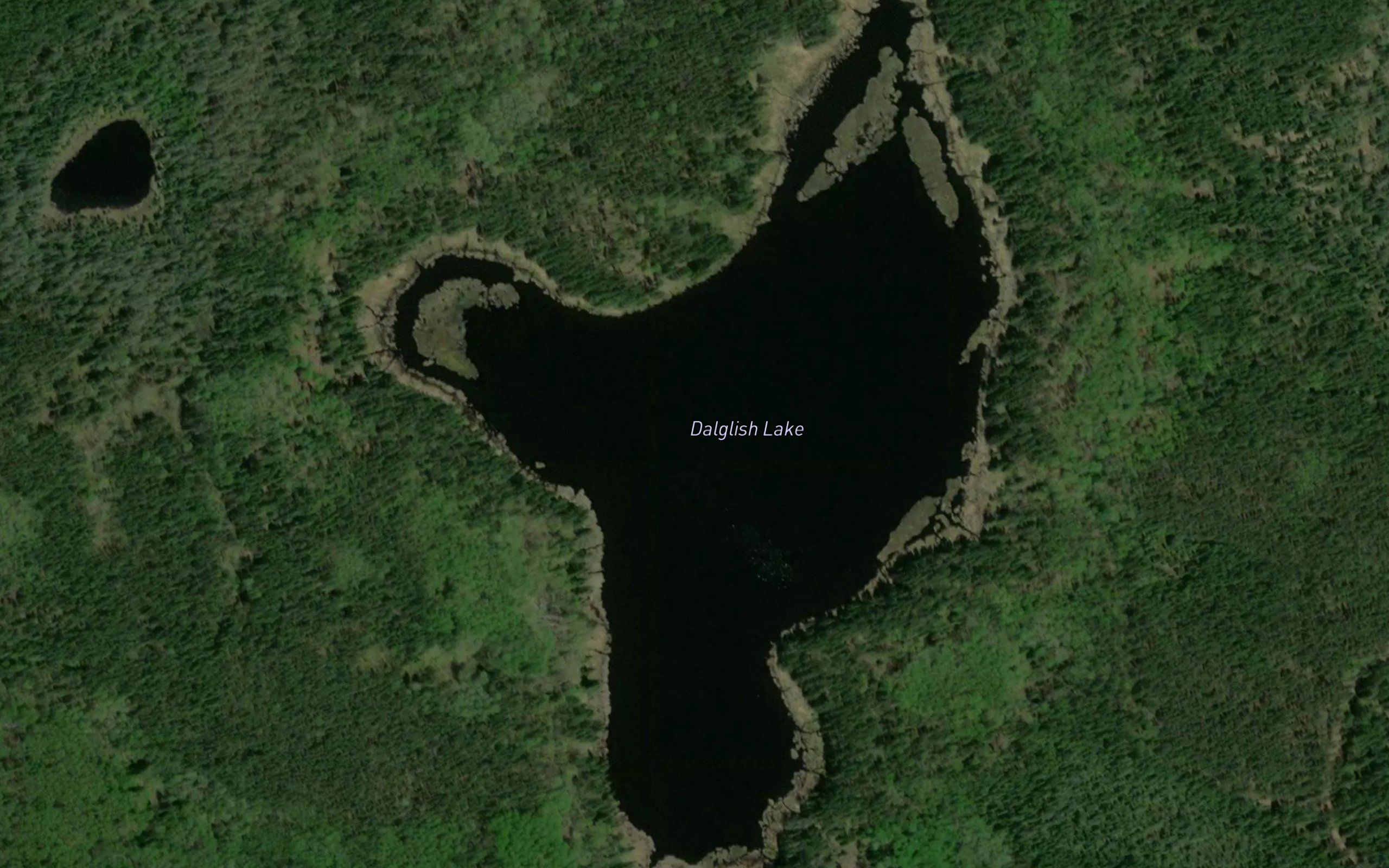 Dalglish Lake
