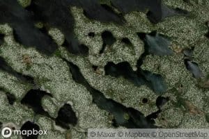 Baie Loyard