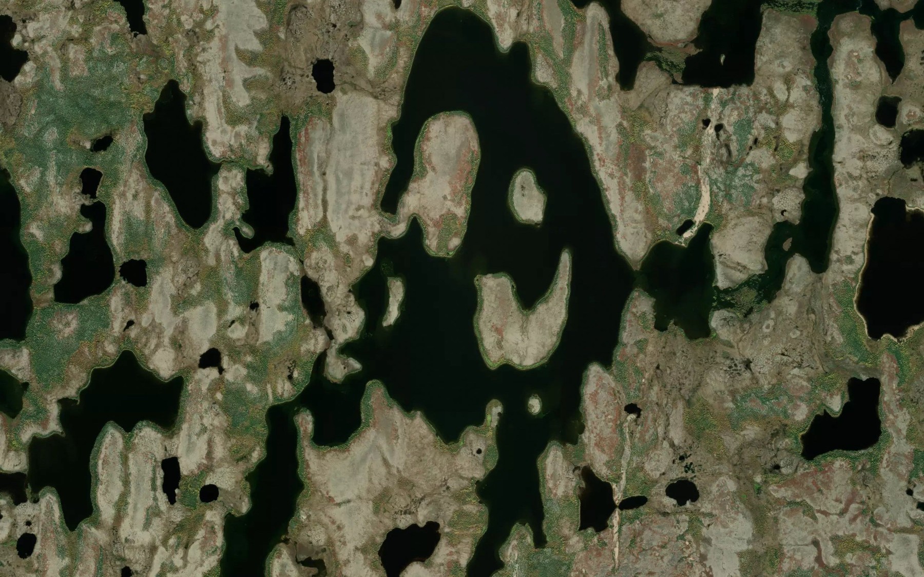 Satellite map of the Connolly Lake