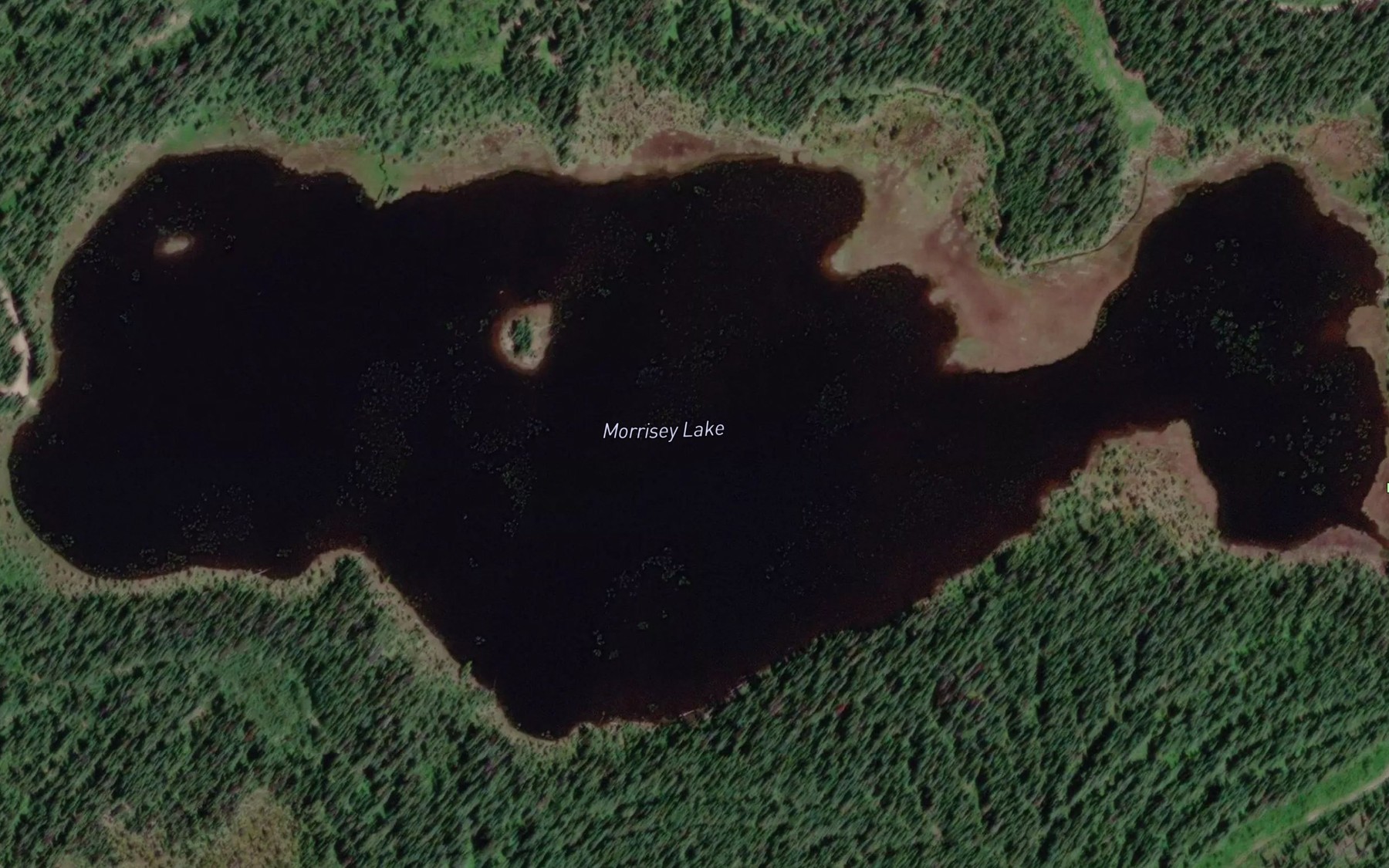 Satellite map of the Morrisey Lake