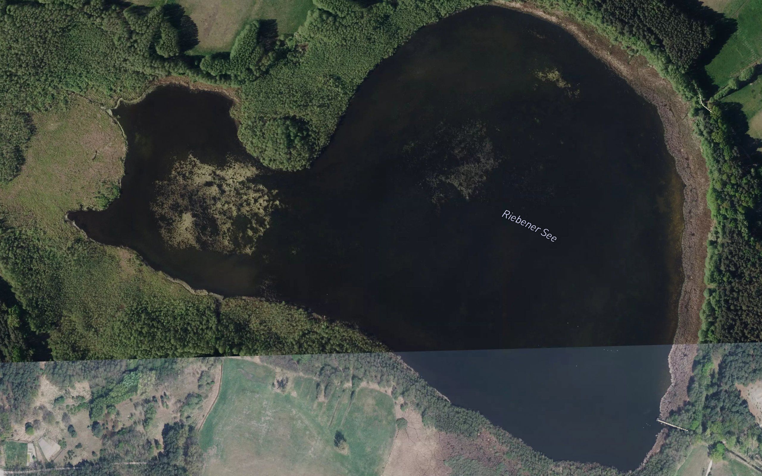 Riebener See