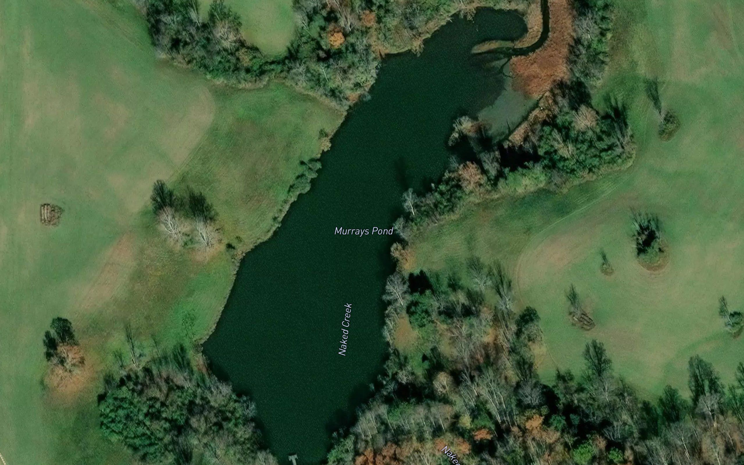Murrays Pond