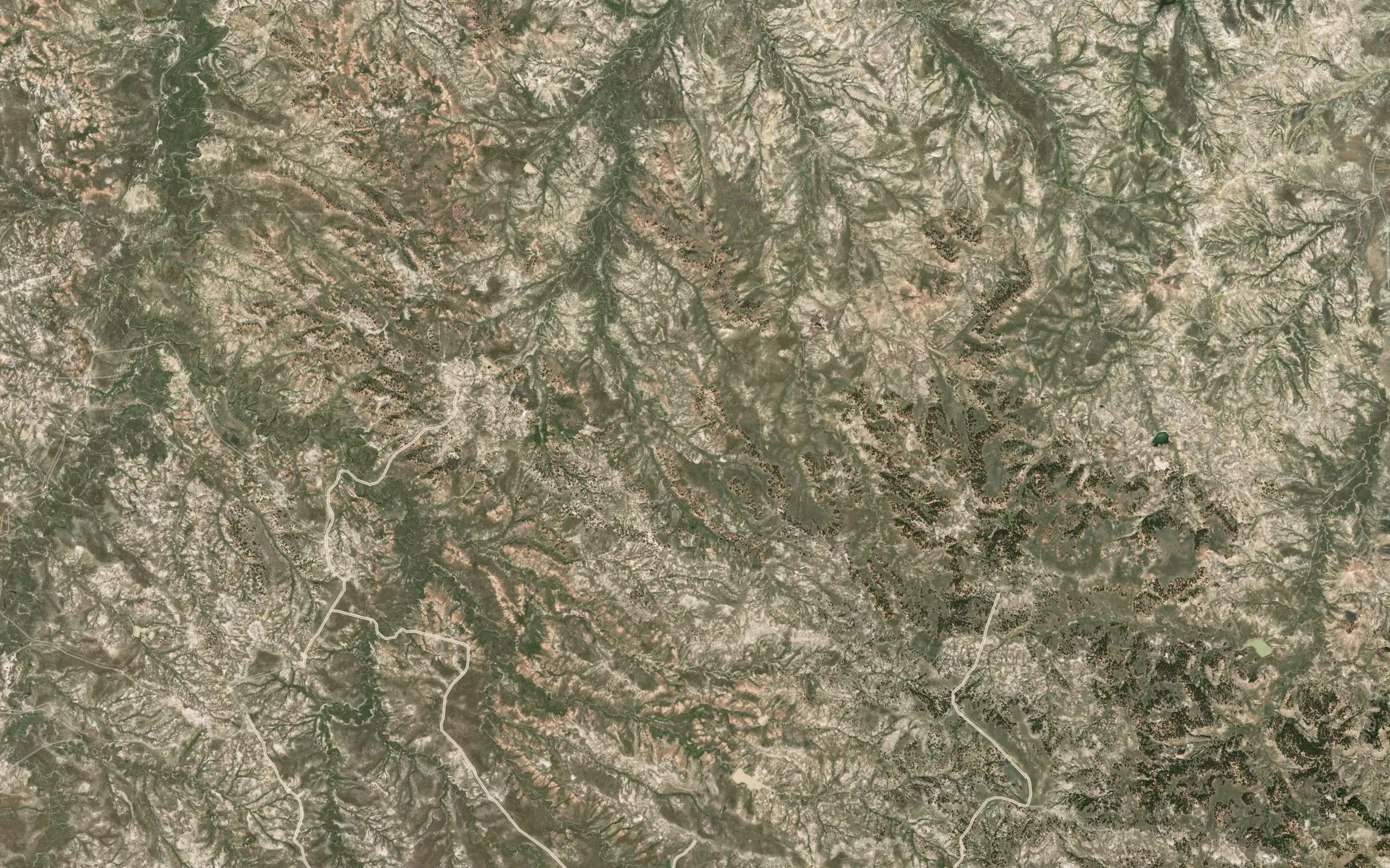Esau Spring