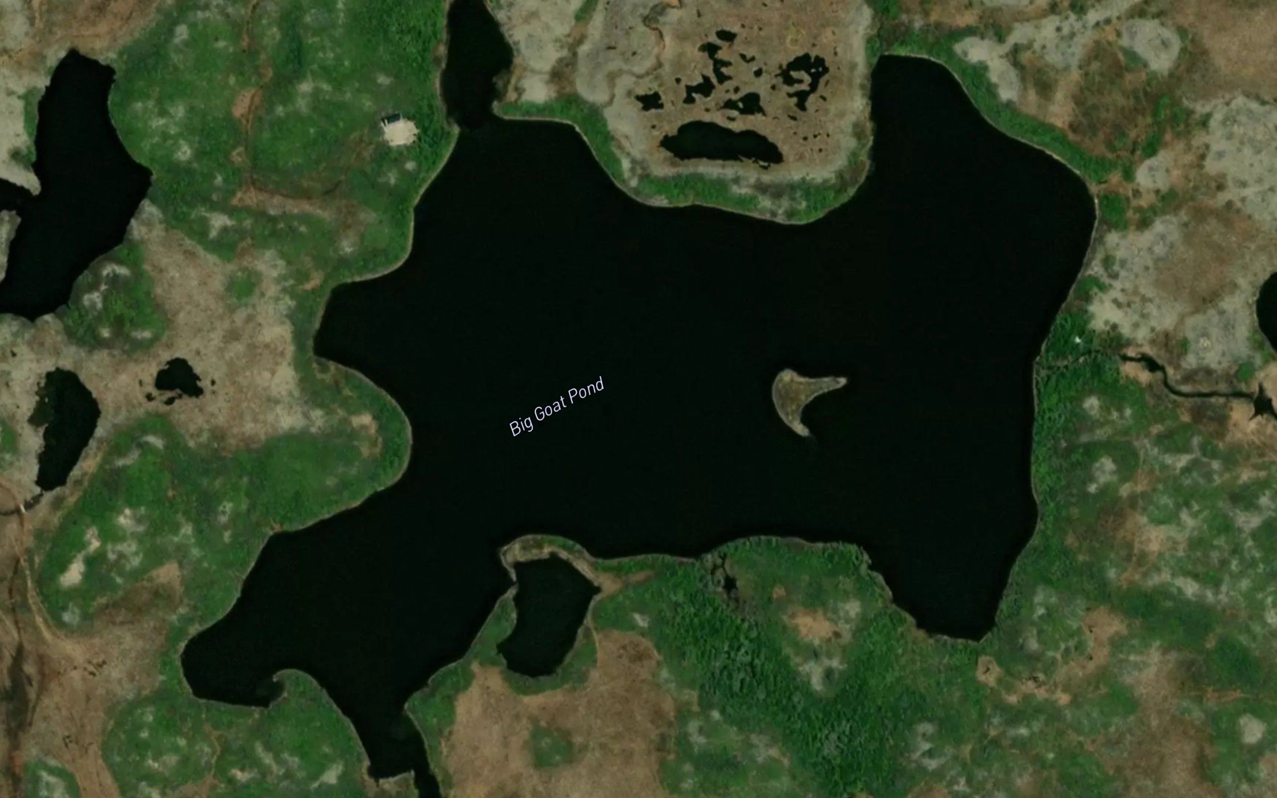 Big Goat Pond