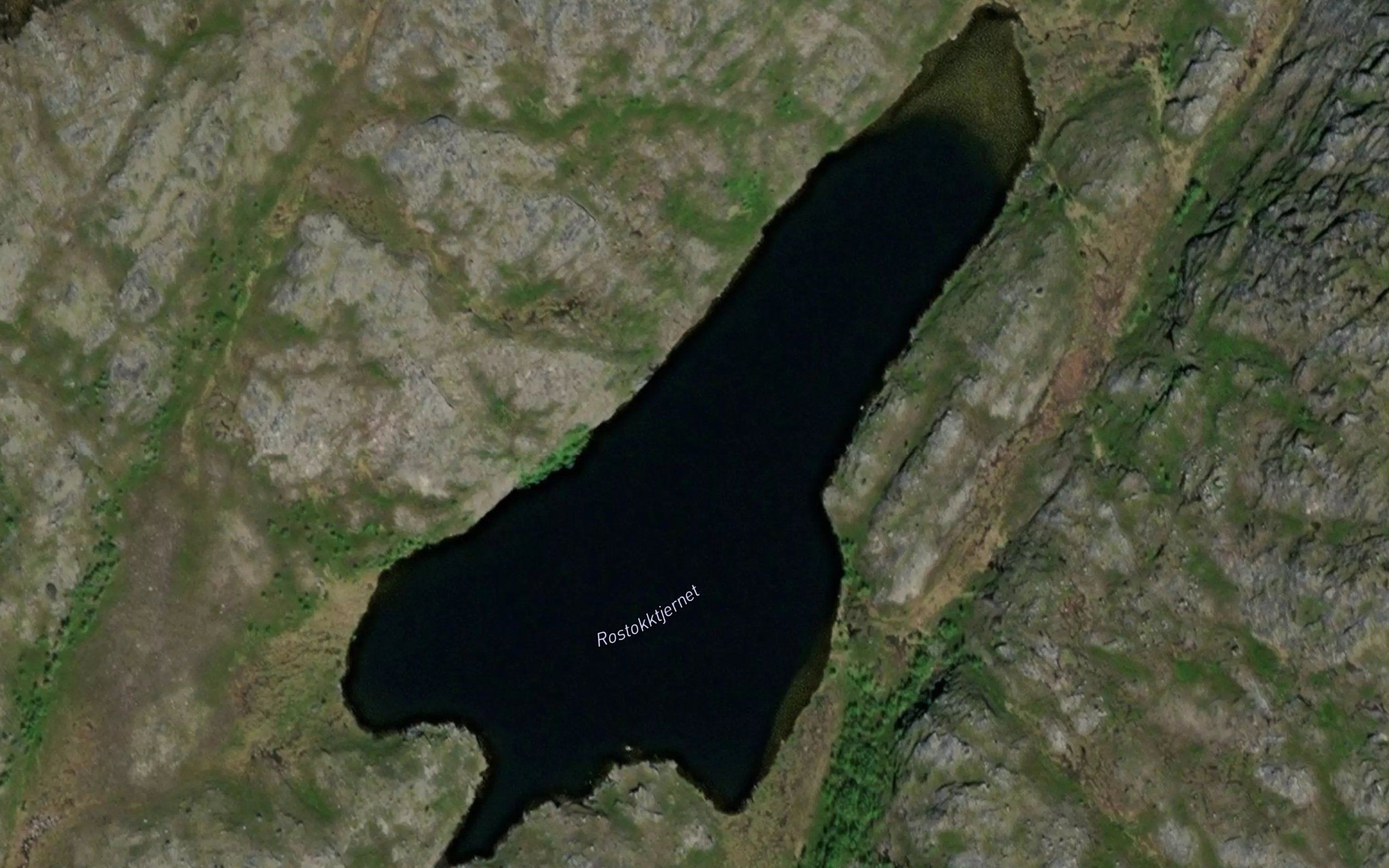 Rostokktjernet