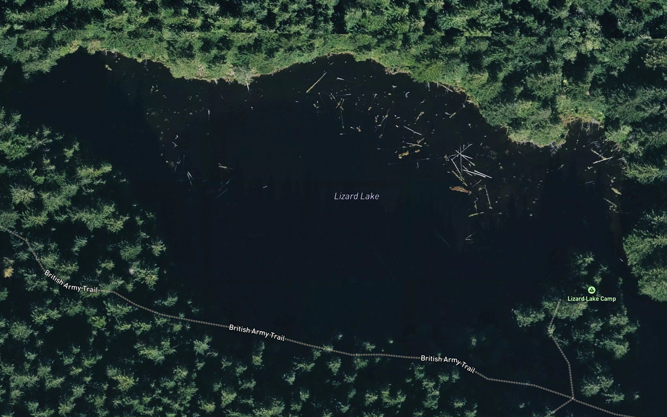 Lizard Lake