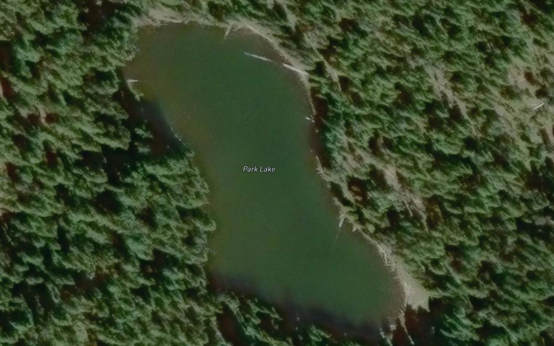Satellite map of the Park Lake