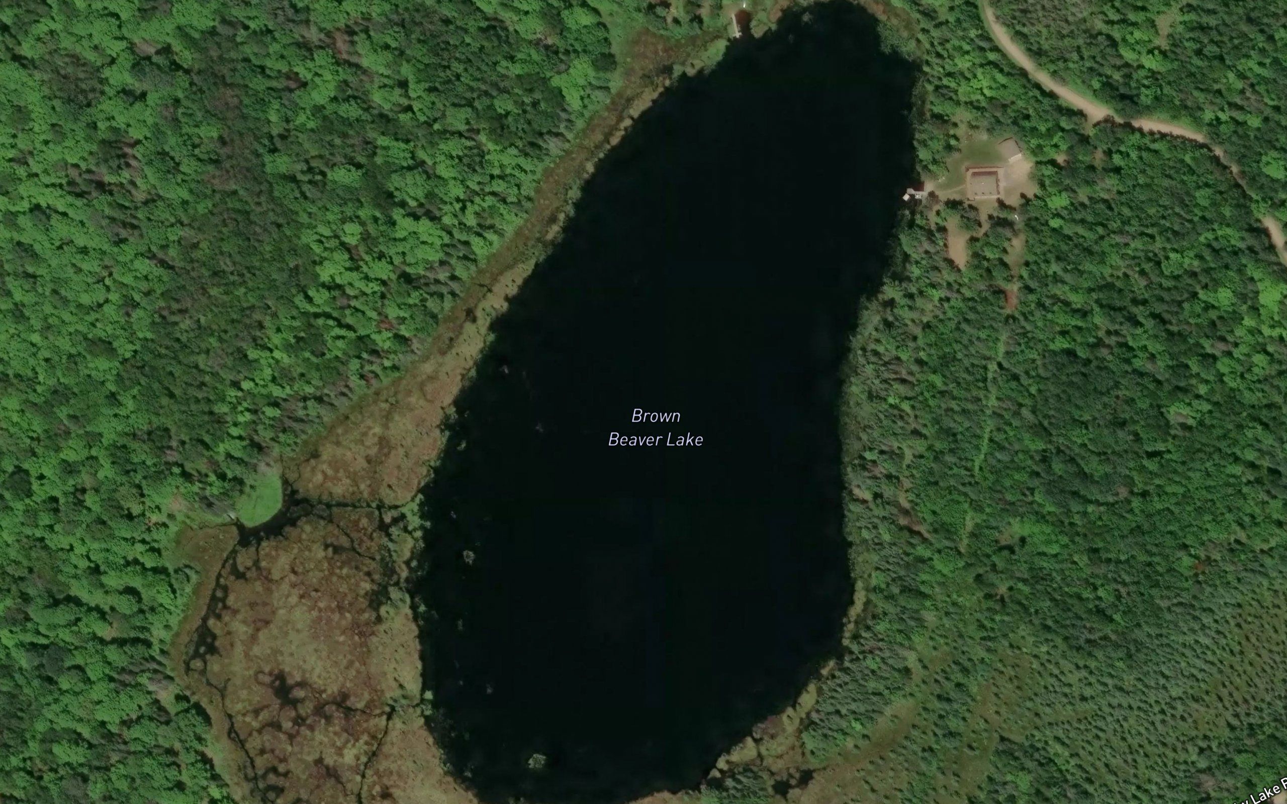 Brown Beaver Lake
