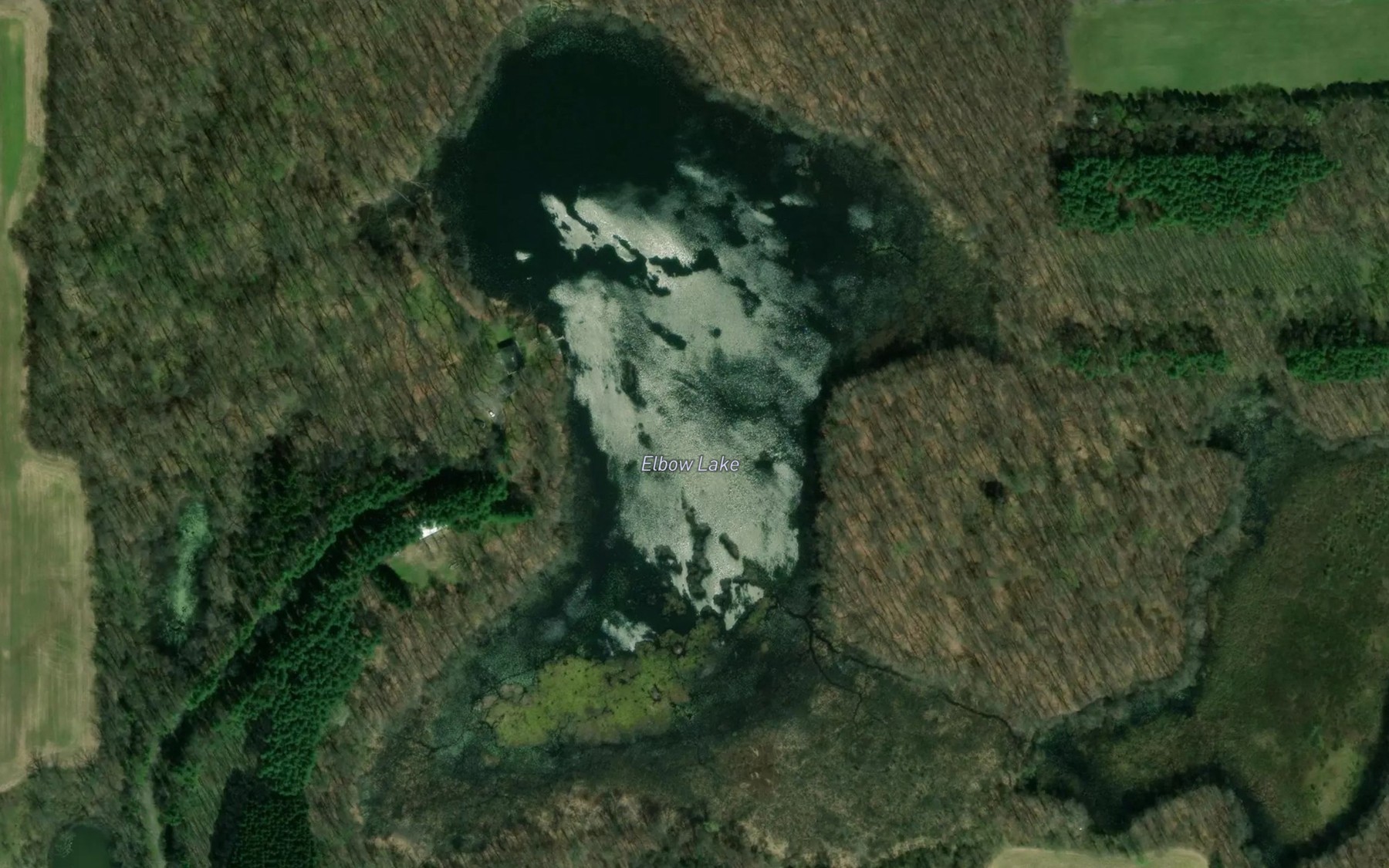 Satellite map of the Elbow Lake