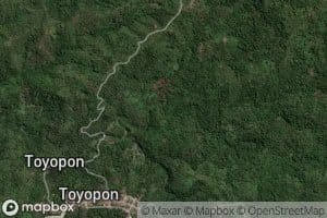 Royongan Winongsirang