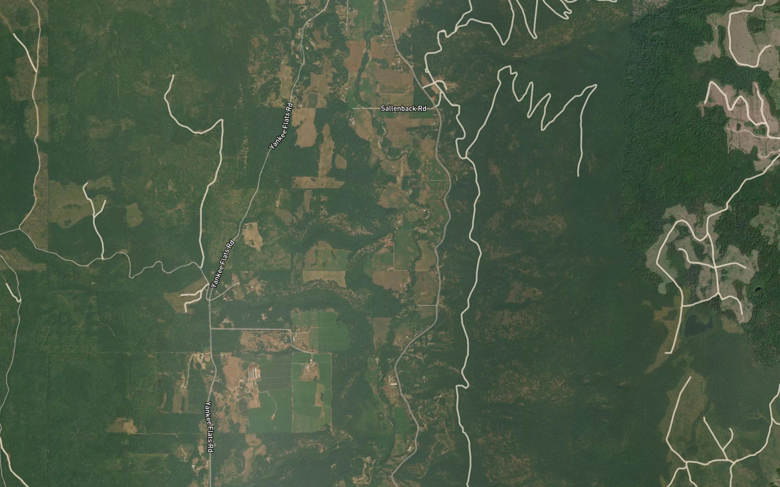 Allardice Creek