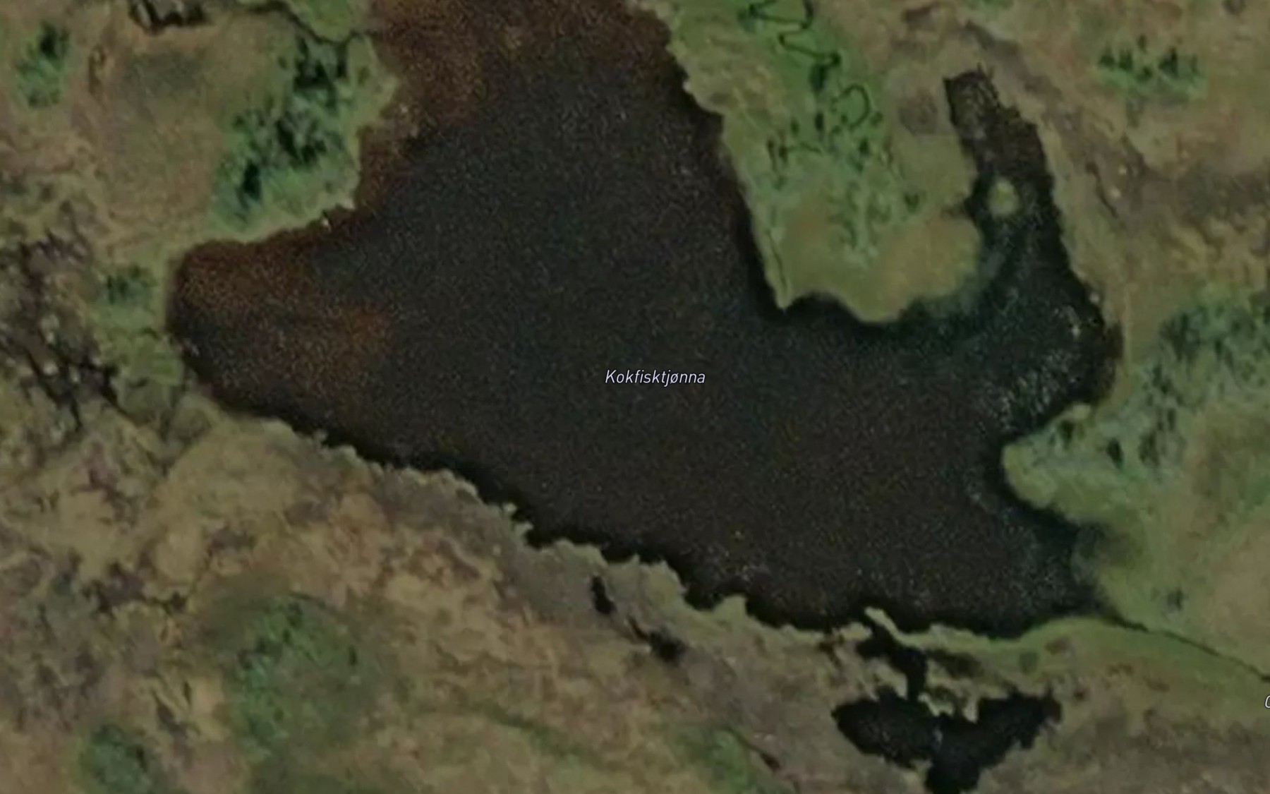 Satellite map of the Kokfisktjorna